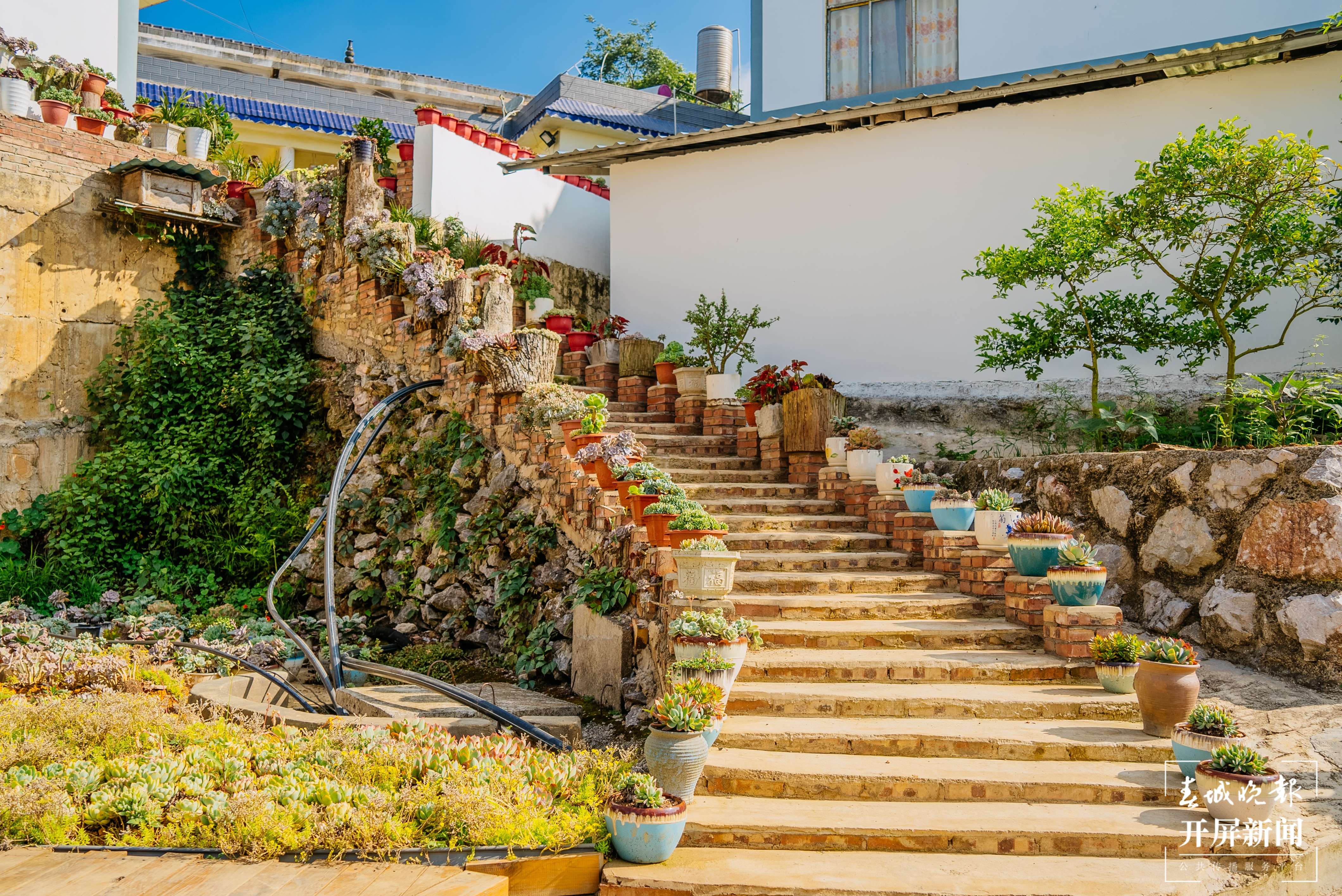 团结兴边看文山 | 多肉扮靓“方寸之地”，庭院“小美”助力乡村“大美”