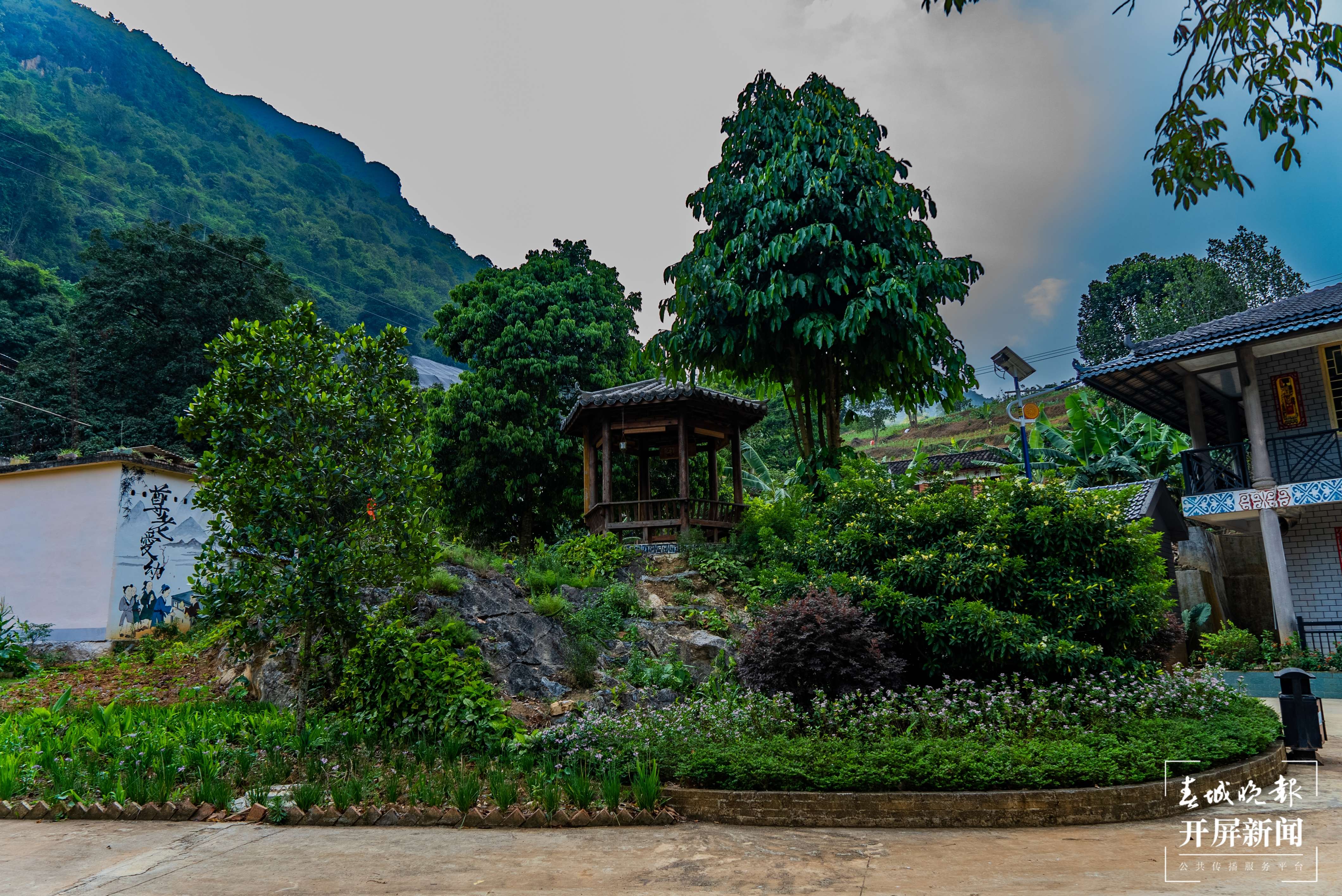 团结兴边看文山丨绿美边境村寨“晒”幸福
