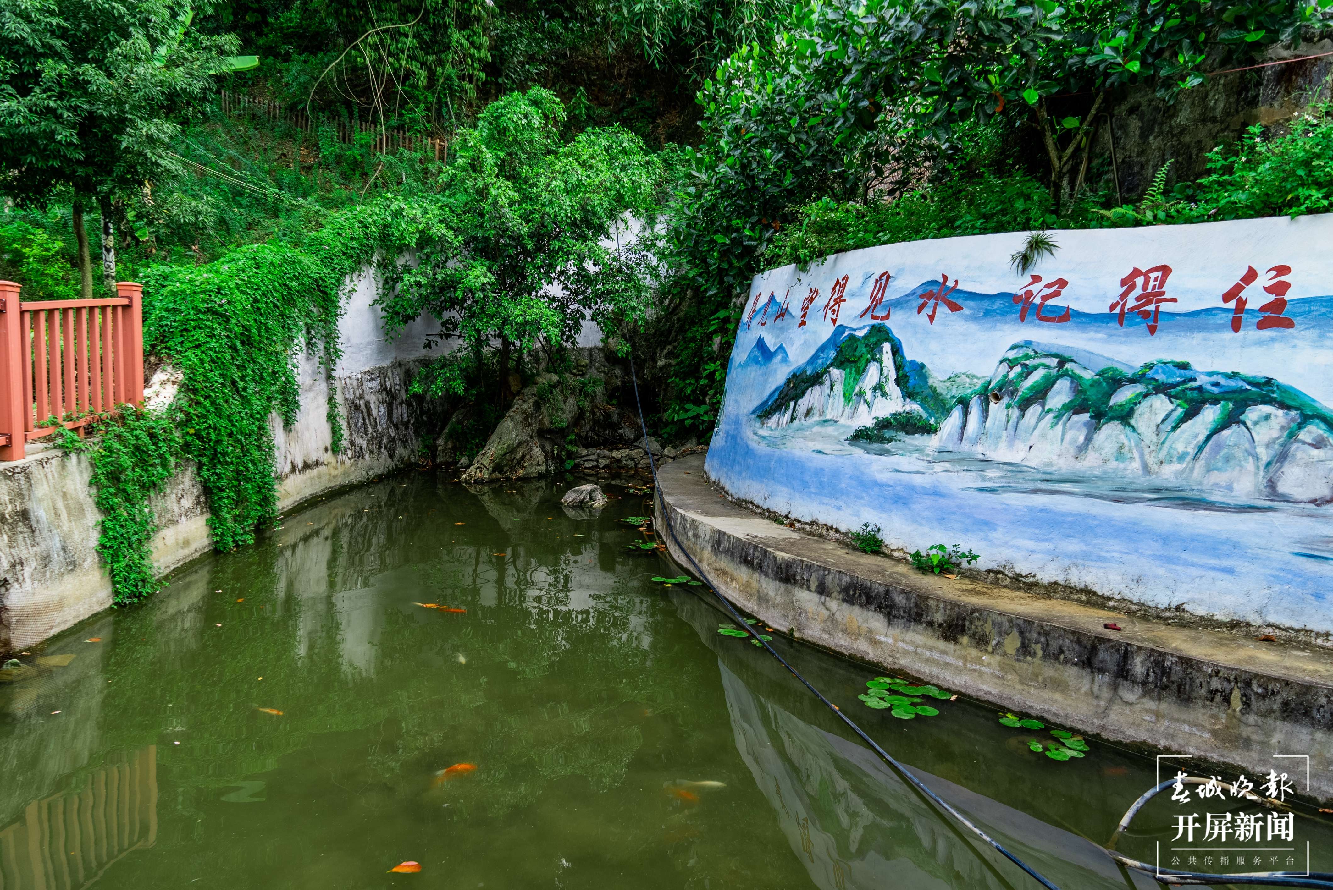 团结兴边看文山丨绿美边境村寨“晒”幸福