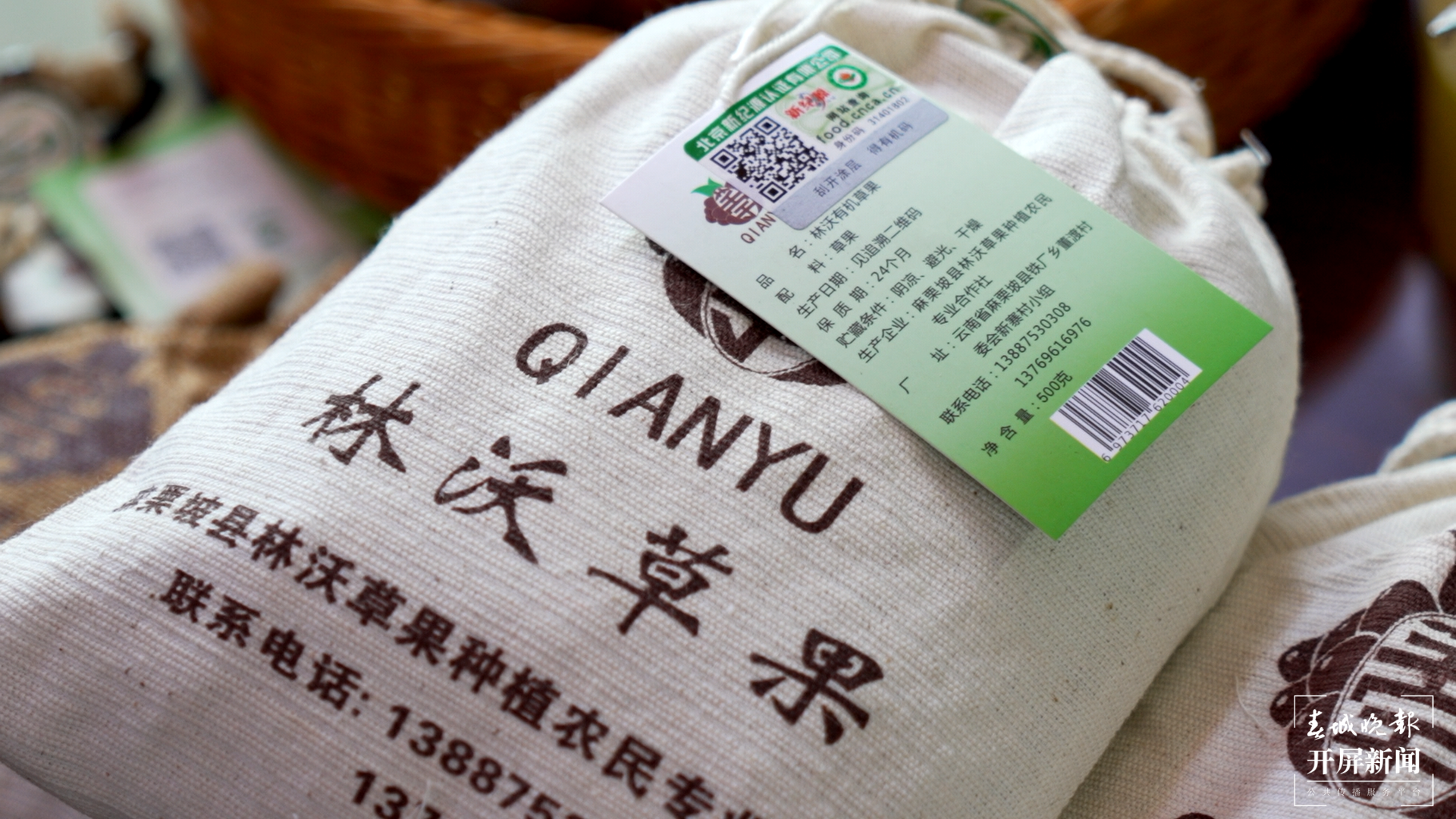 团结兴边看文山丨不忘兴边富边初心 发展草果产业助增收