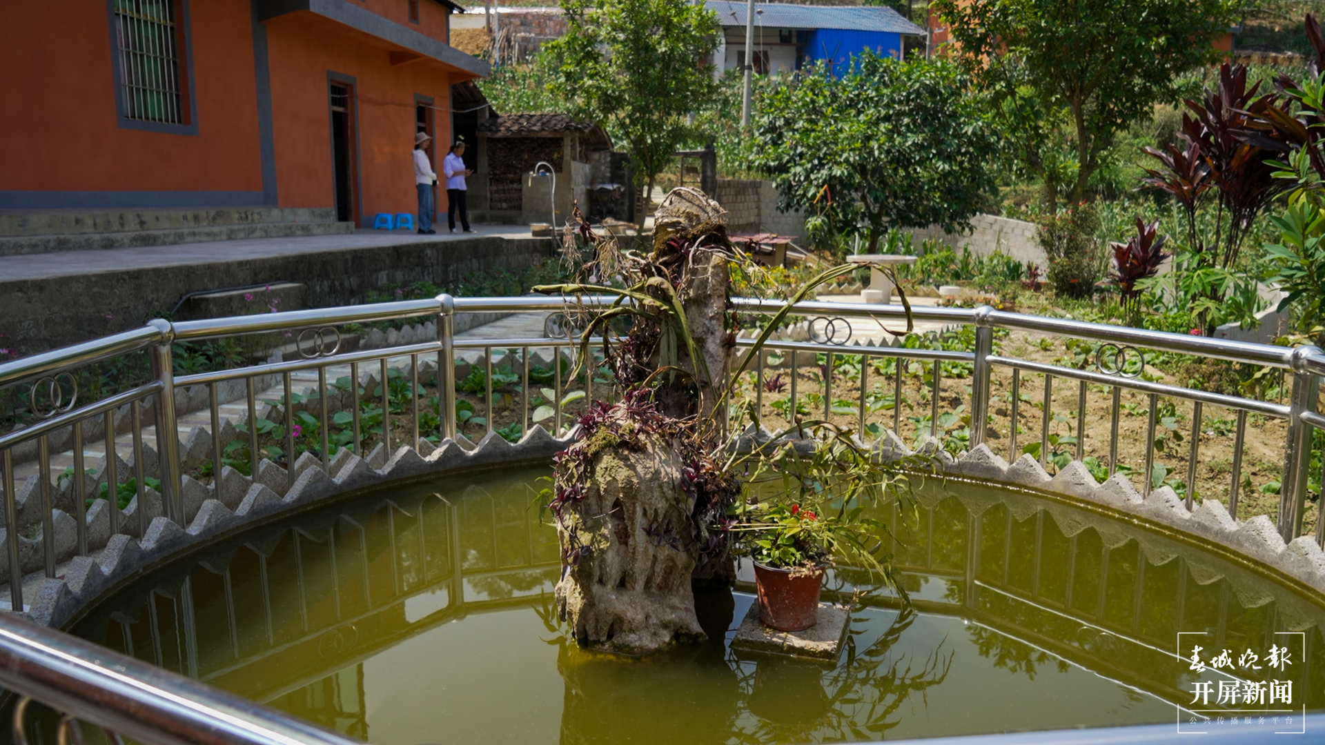 团结兴边看文山丨党建引领 杨万乡“绿美村庄”竞相绽放