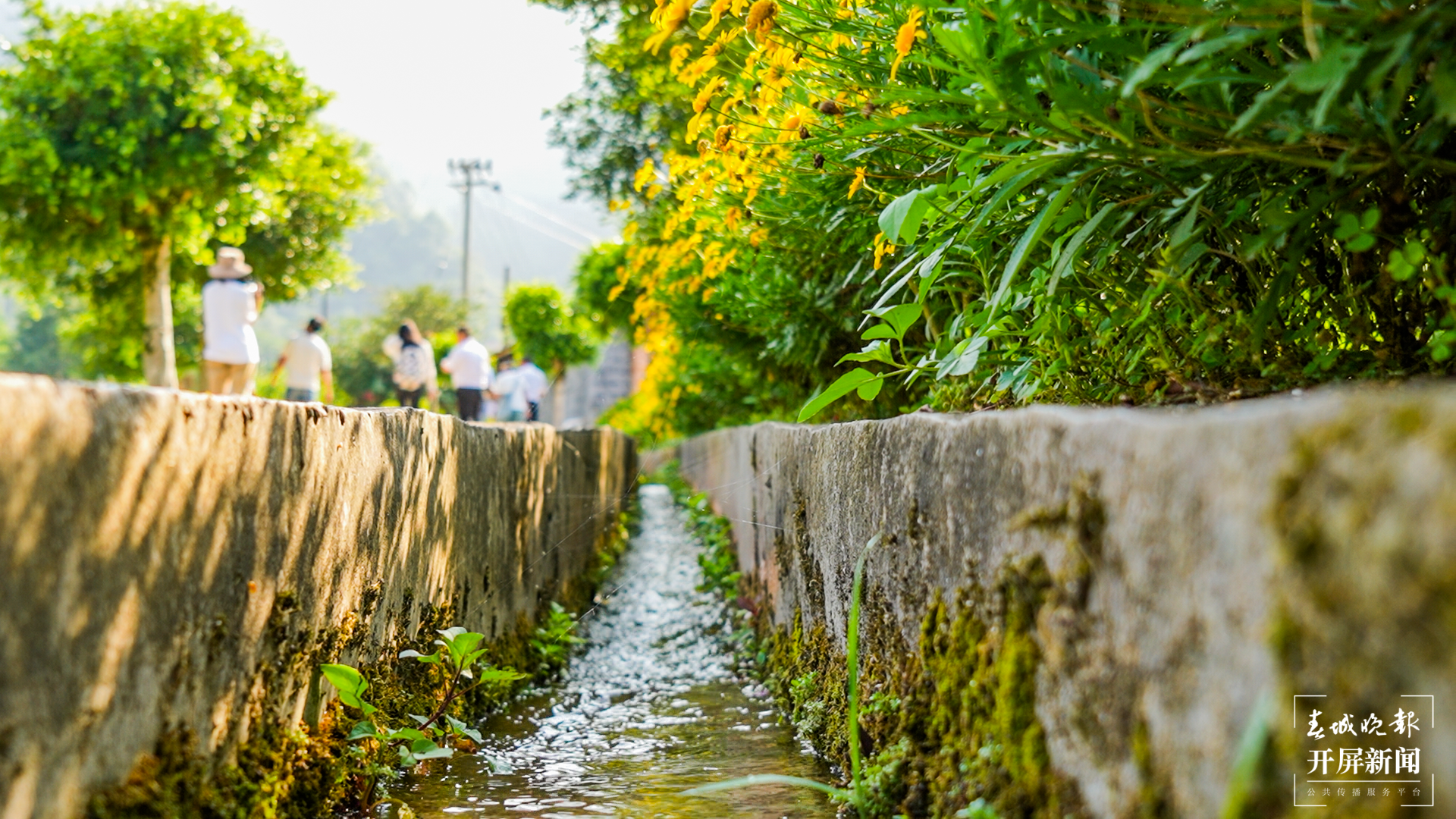 团结兴边看文山丨二十字方针，为打造坪寨“康养休闲型”绿美村寨奠定基础
