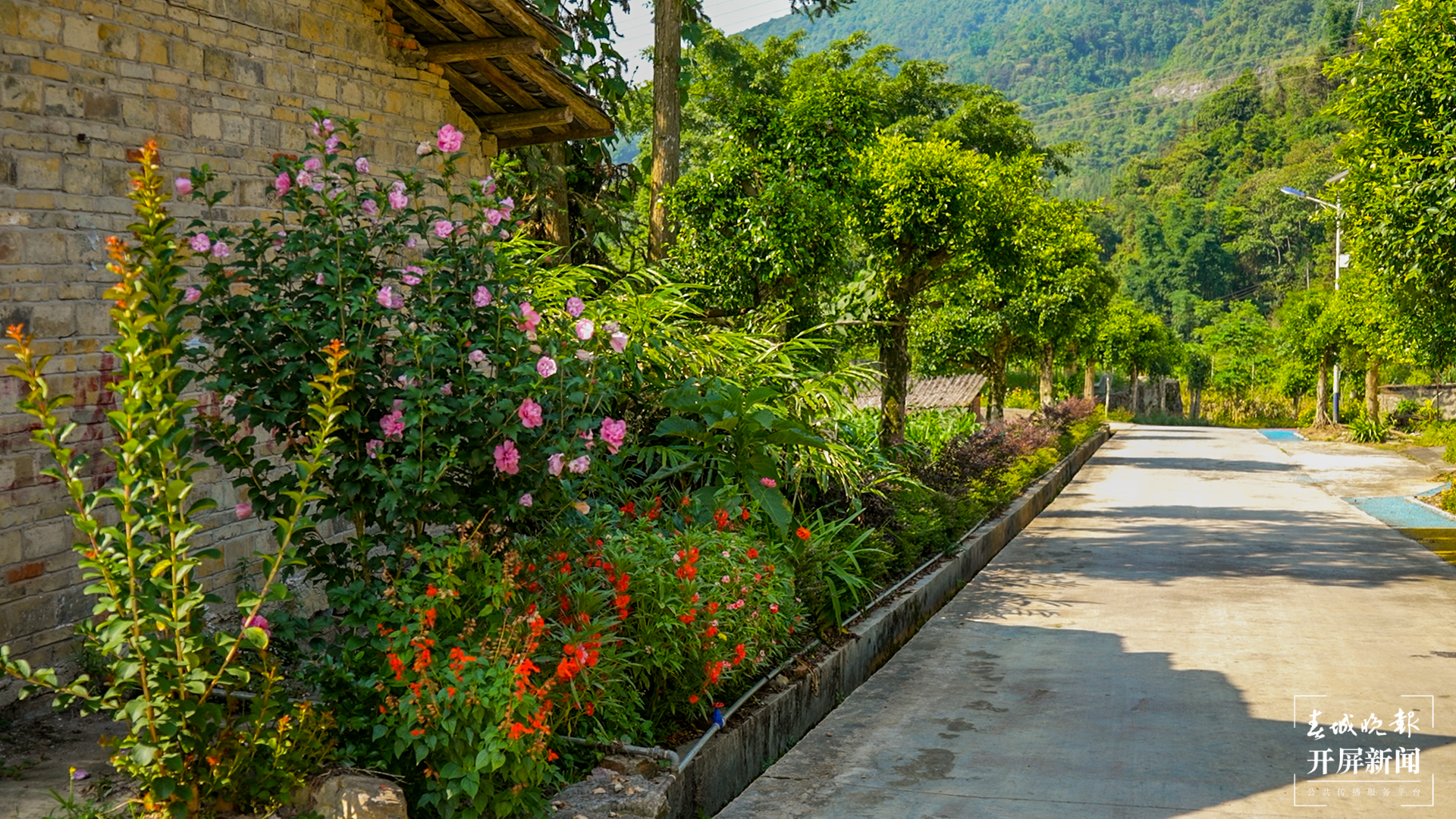 团结兴边看文山丨二十字方针，为打造坪寨“康养休闲型”绿美村寨奠定基础