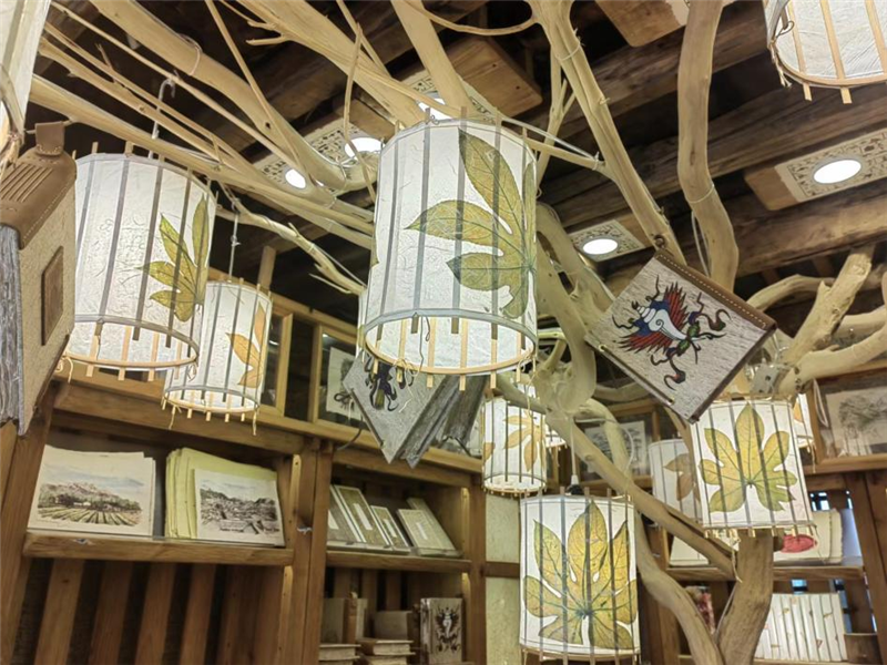 云迹青年丨东巴纸上书画人生