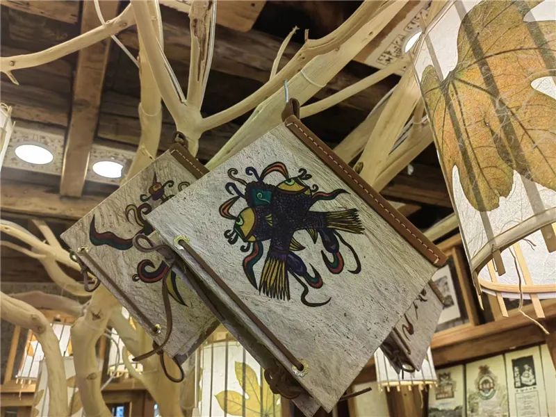 云迹青年丨东巴纸上书画人生