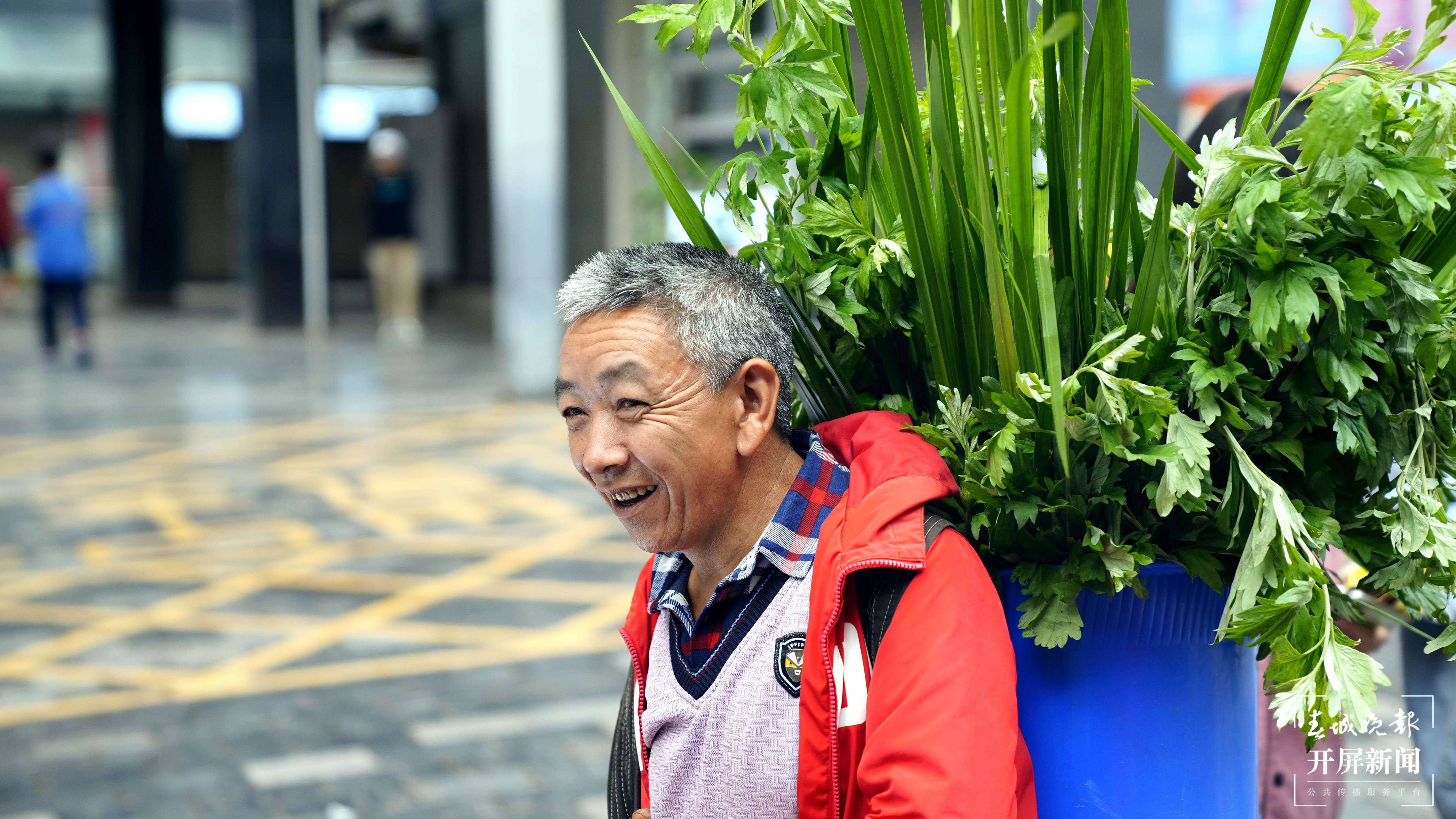 端午节咋个过？昭通彝良粽香药香出游“香”