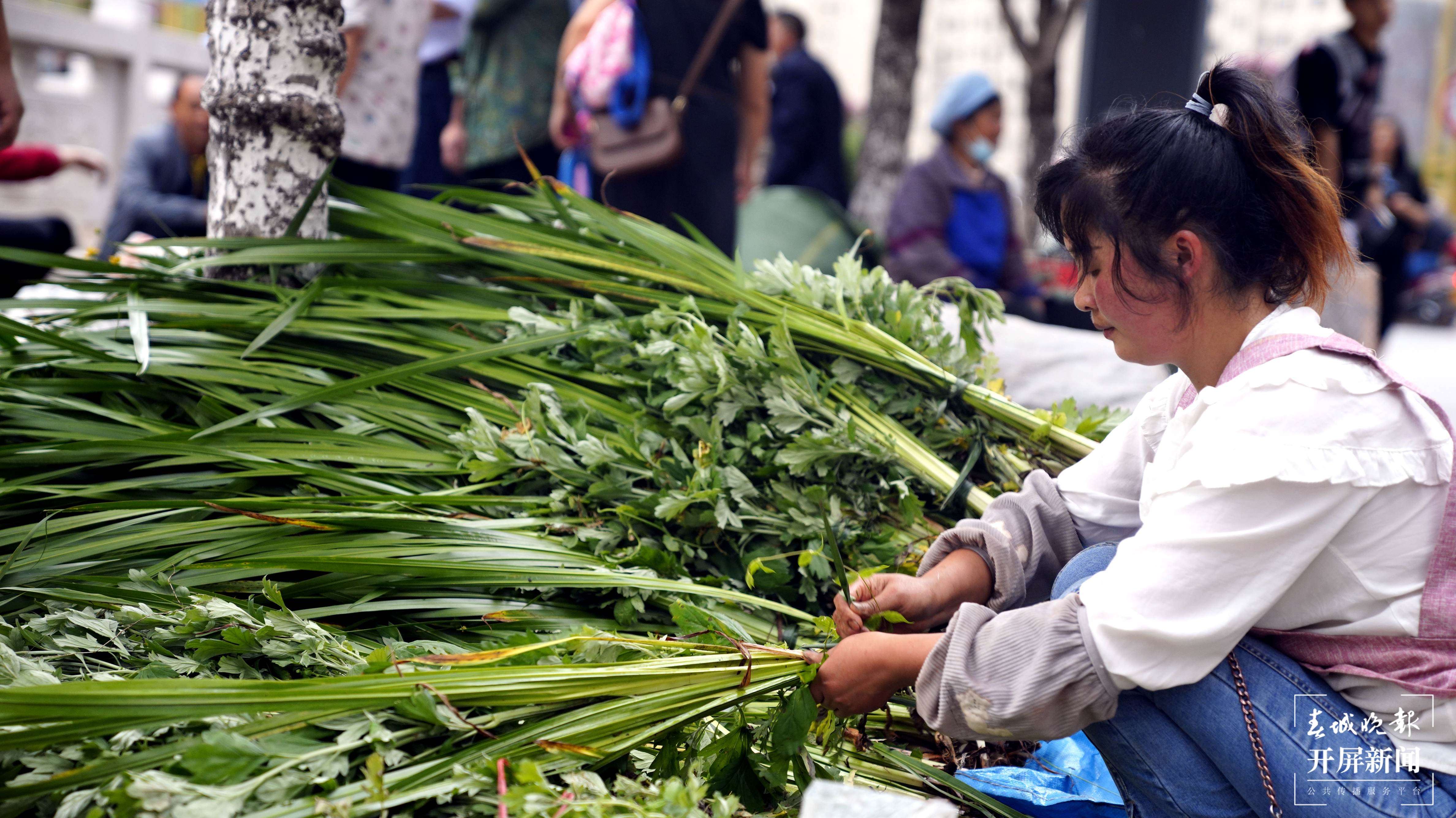 端午节咋个过？昭通彝良粽香药香出游“香”