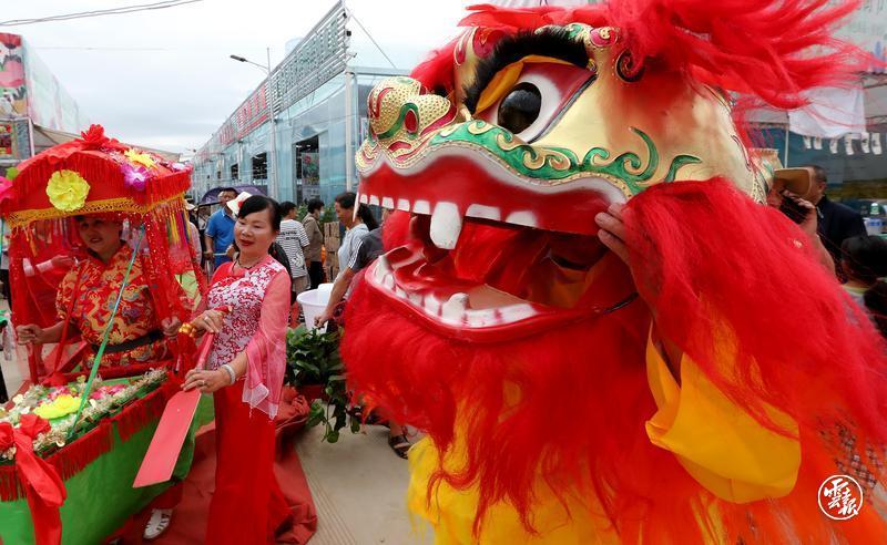 昆明宜良花街节：逛花街买鲜花 花海人潮庆端午4.jpg