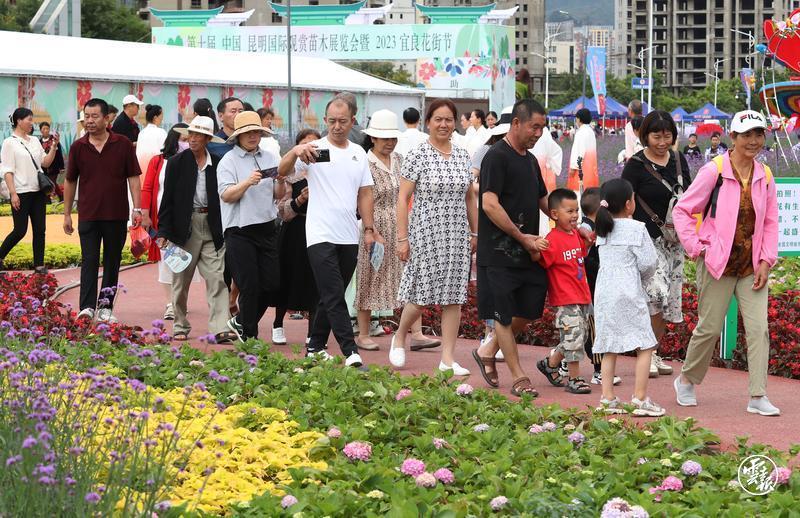 昆明宜良花街节：逛花街买鲜花 花海人潮庆端午6.jpg