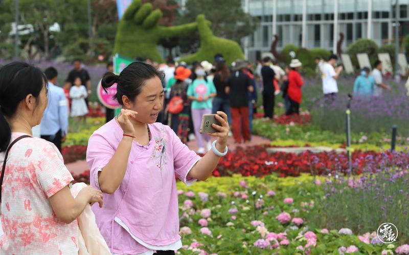 昆明宜良花街节：逛花街买鲜花 花海人潮庆端午10.jpg