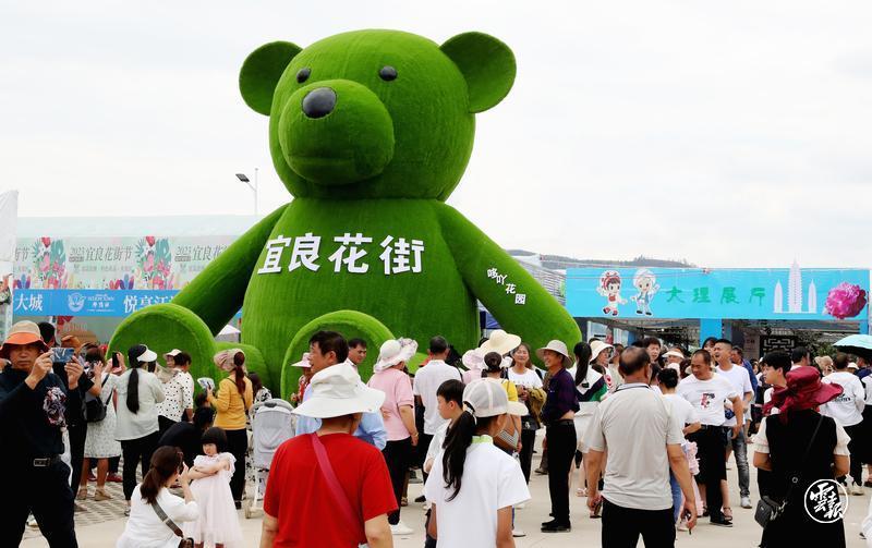 昆明宜良花街节：逛花街买鲜花 花海人潮庆端午14.jpg
