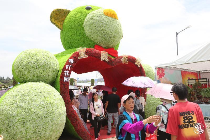 昆明宜良花街节：逛花街买鲜花 花海人潮庆端午15.jpg