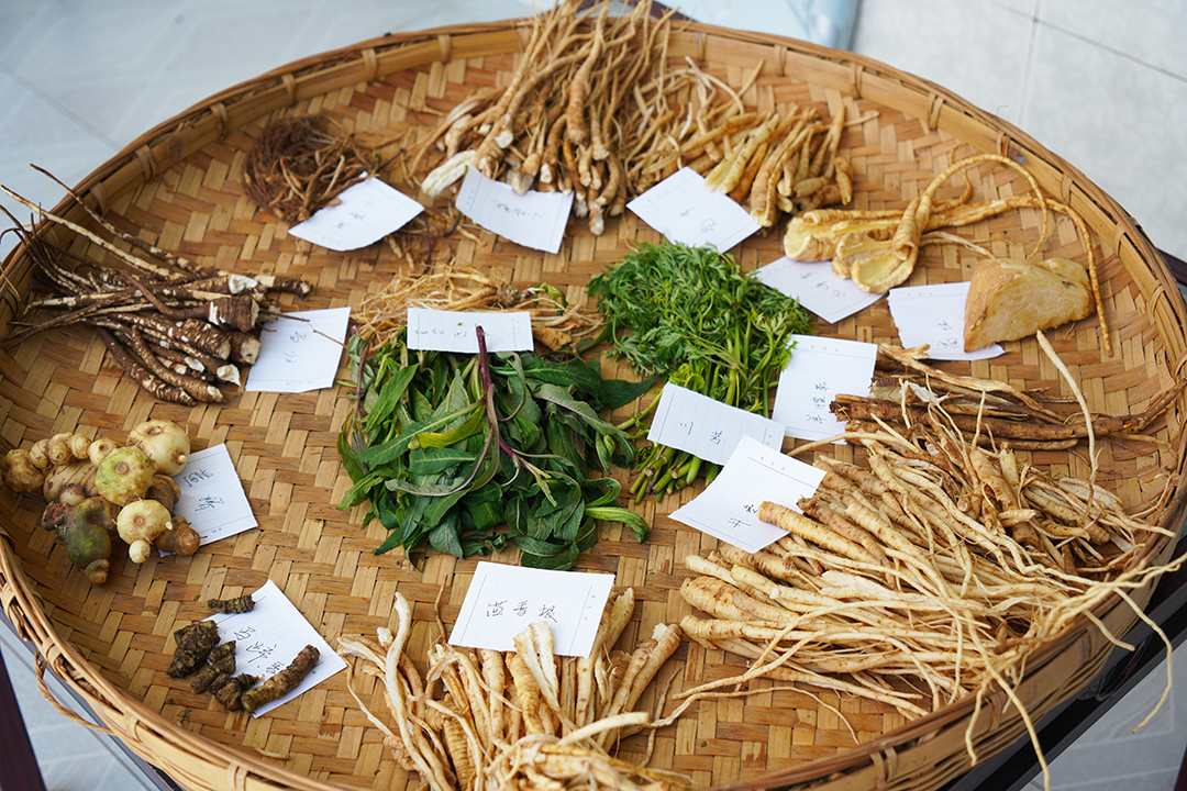 药材2-2023年6月21日-赵齐源摄.jpg