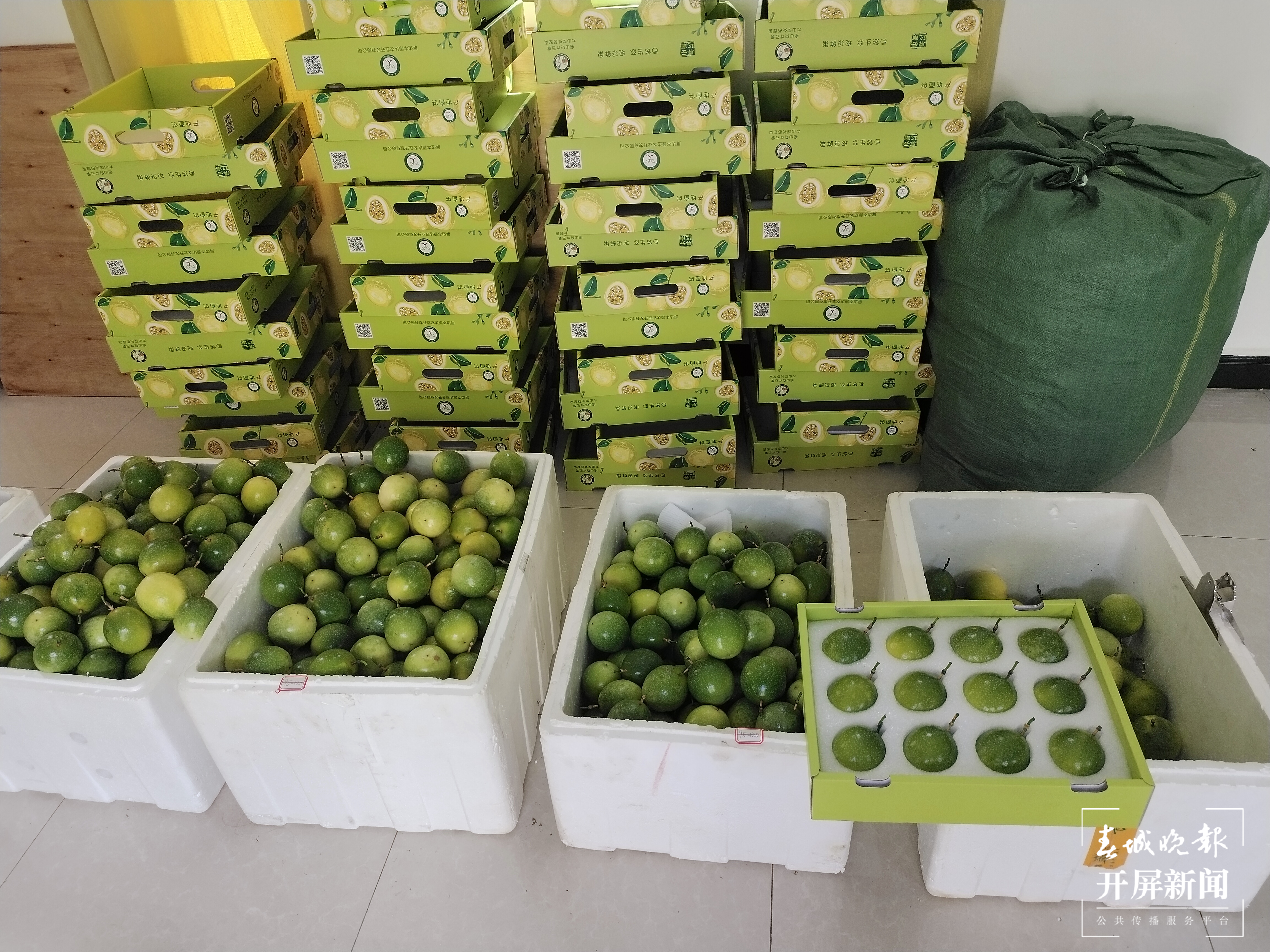 山水家园 甜蜜屏边 | 小小百香果开启农民增收致富新渠道