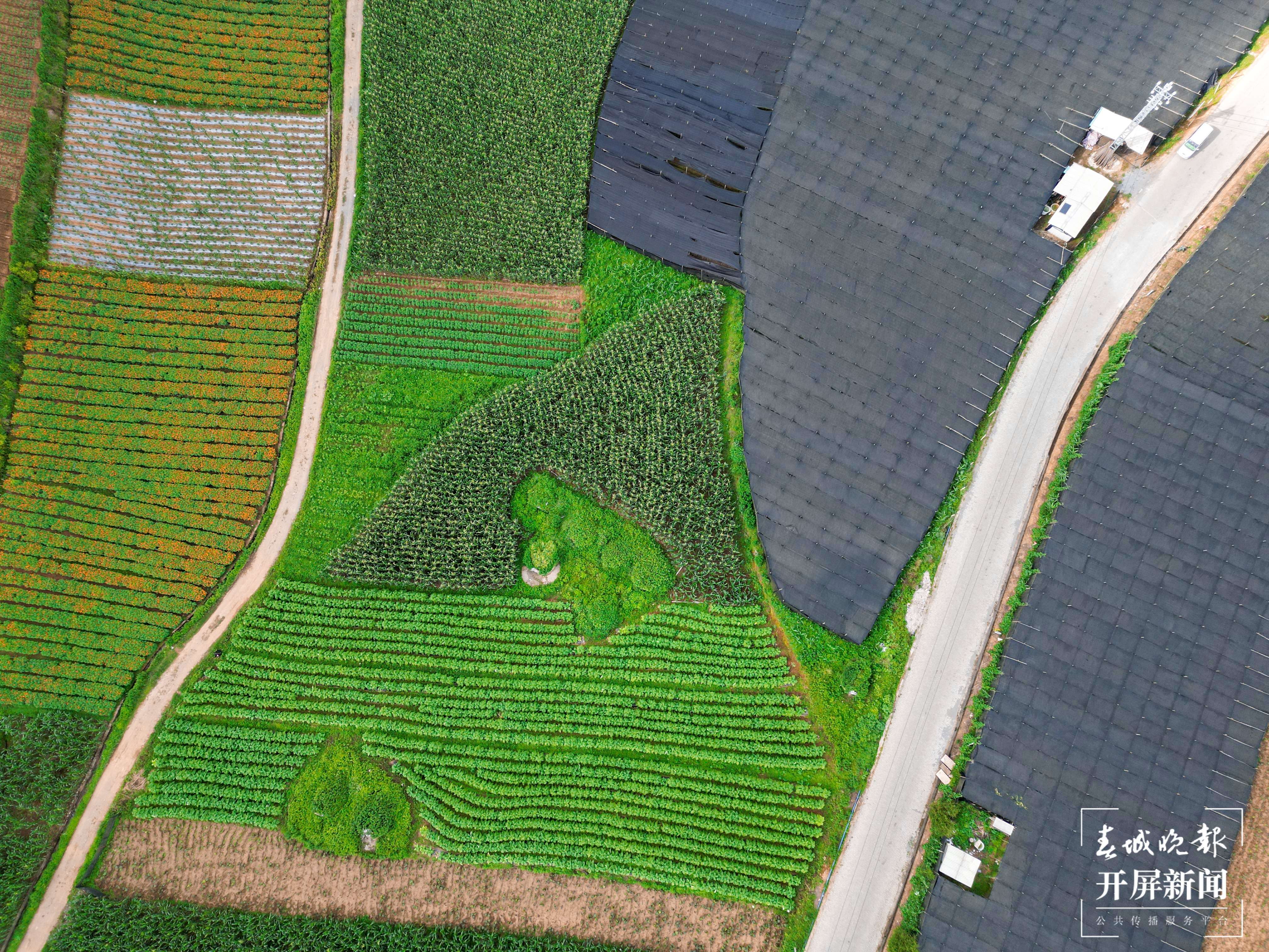 山水家园 甜蜜屏边丨深山重楼“初长成”