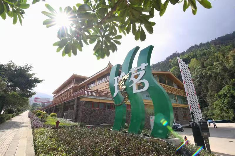 山水家园 甜蜜屏边｜生态成就屏边“味道”