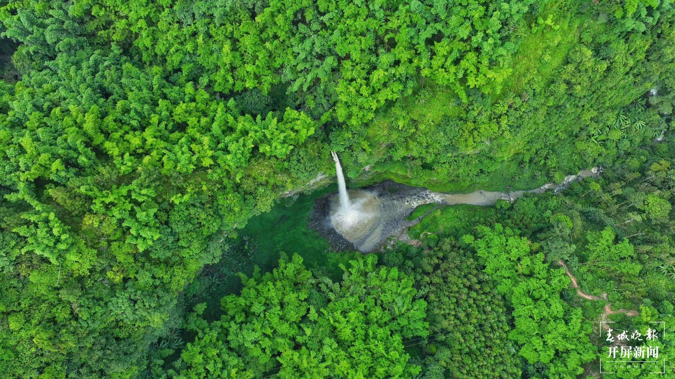 山水家园 甜蜜屏边｜生态成就屏边“味道”