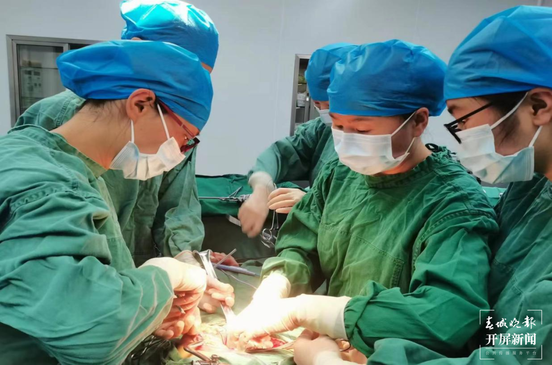 山水家园 甜蜜屏边丨在学科建设上下功夫 做百姓健康的守“妇”者