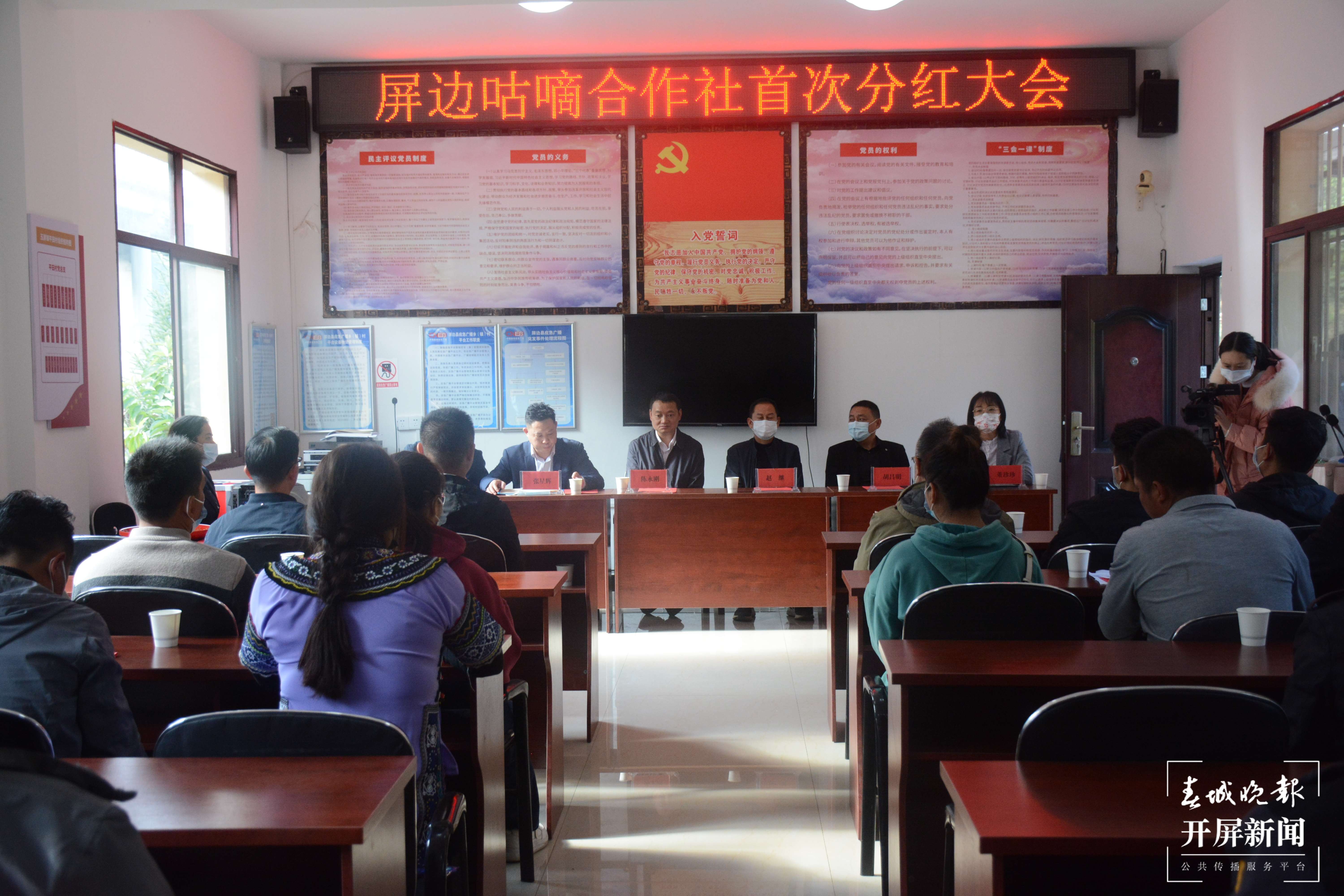 山水家园 甜蜜屏边 | 党旗领航“三驱动”推动乡村振兴纵深发展