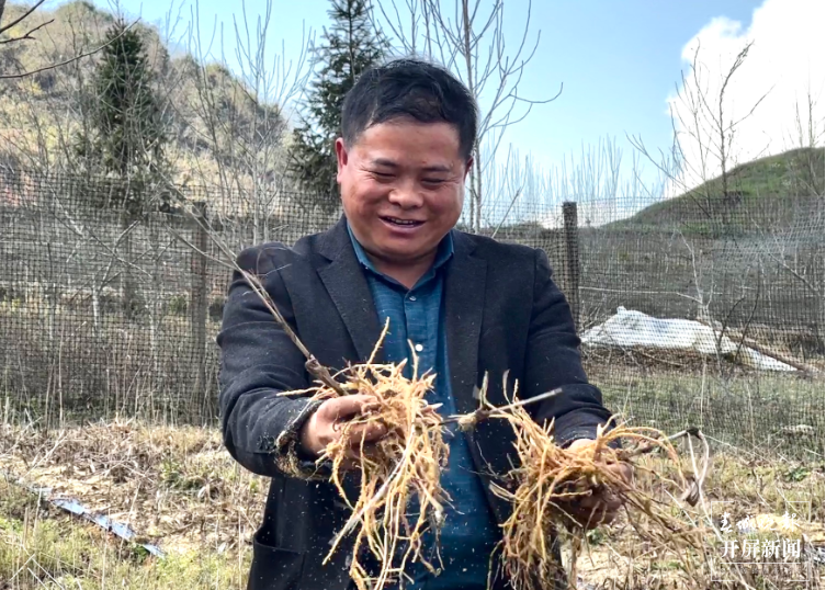 山水家园 甜蜜屏边 | 陶玉春：巧用一片瓦 撬动林下经济好“钱”景