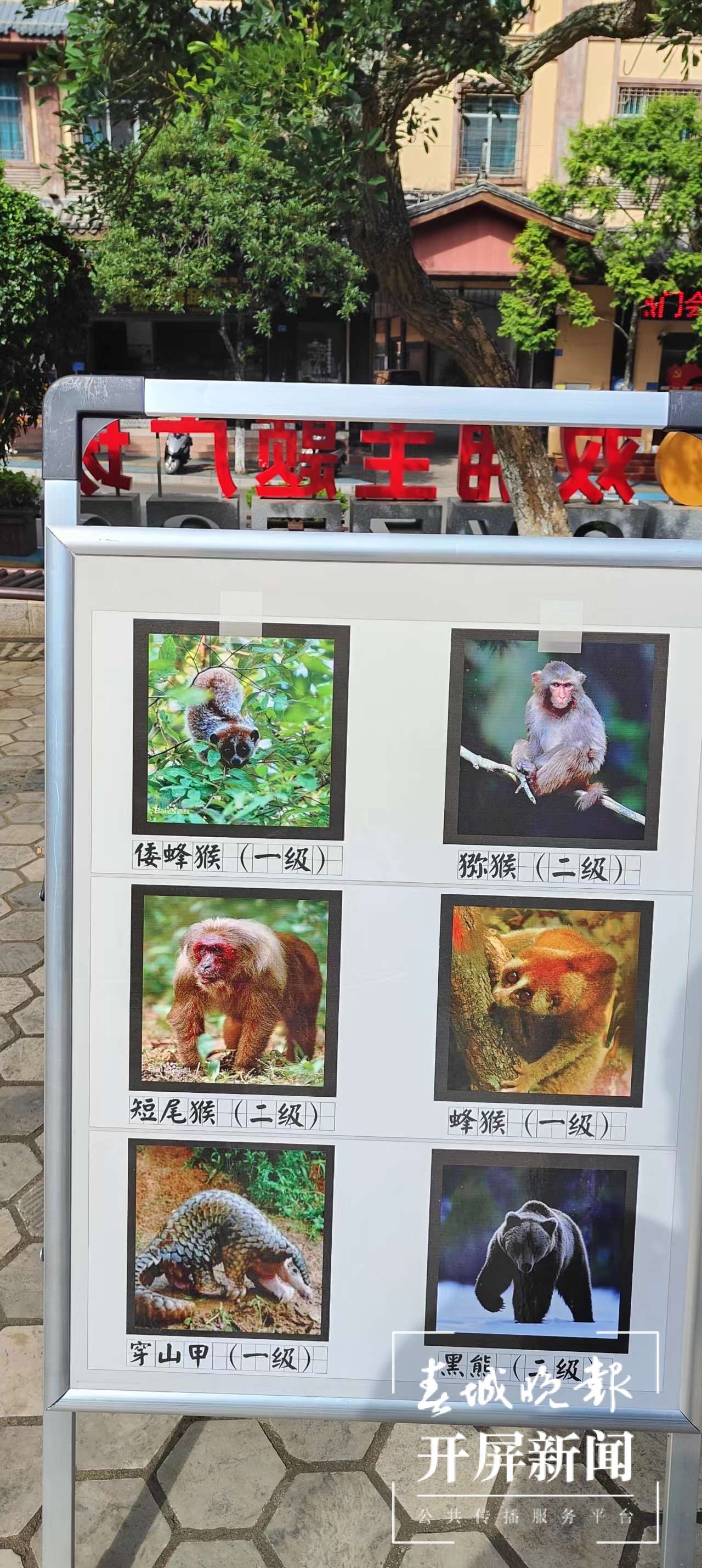 山水家园 甜蜜屏边｜“以案释法”让普法强基补短板行动入脑入心