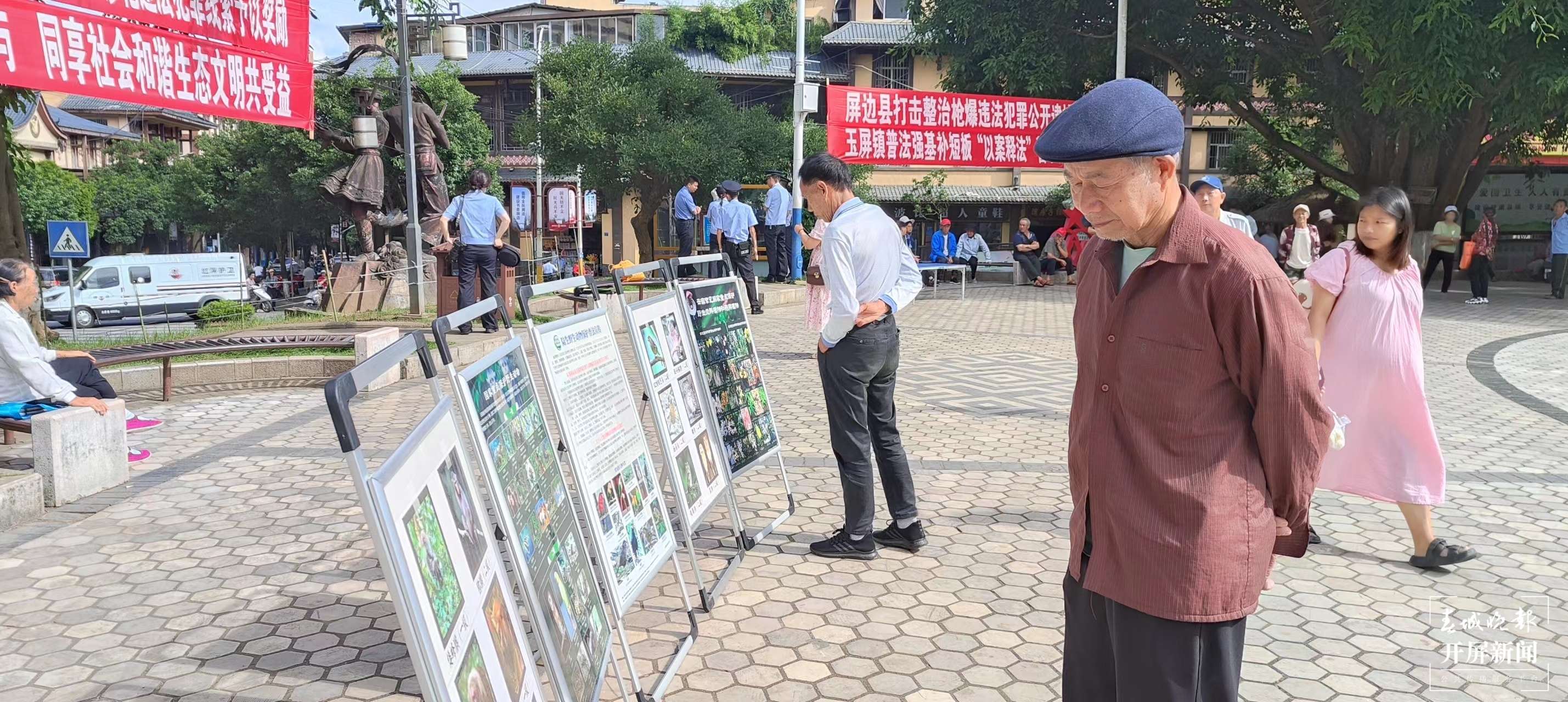 山水家园 甜蜜屏边｜“以案释法”让普法强基补短板行动入脑入心