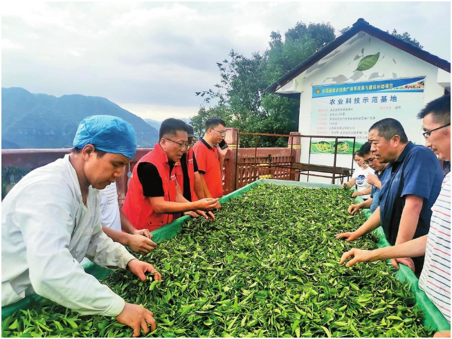 云南深入开展作风革命、效能革命，着力在工作作风上来一次大转变、在工作效能上来一次大提升——以强作风高效能跑出发展加速度