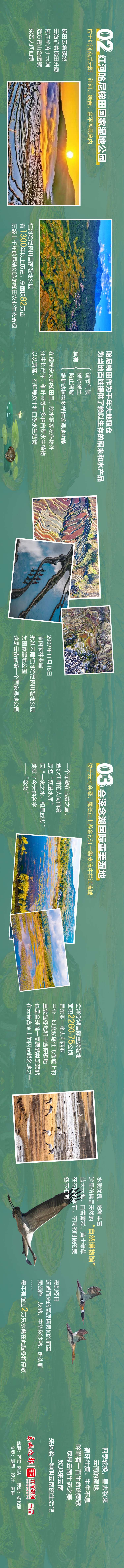 云南生态多美妙｜多彩湿地，吟唱生命赞歌