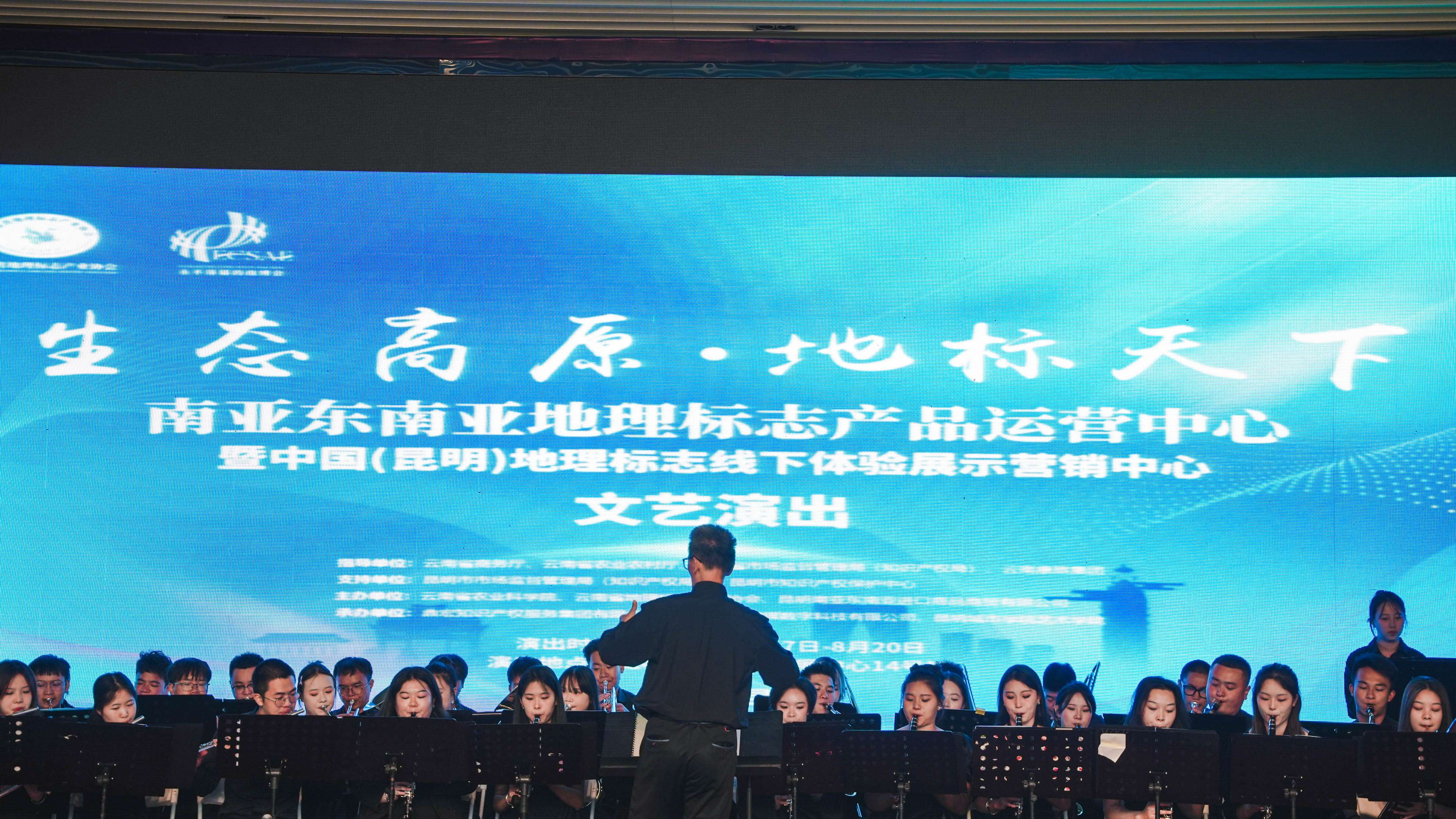 借南博会东风，云南地标馆“开门大吉”