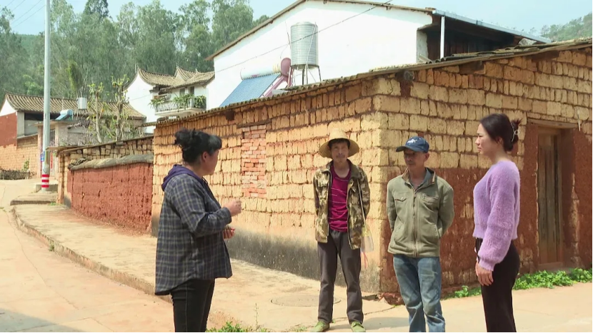 古韵新城 水墨石屏|坝心镇白浪村:党员冲在前 确保项目落地见效