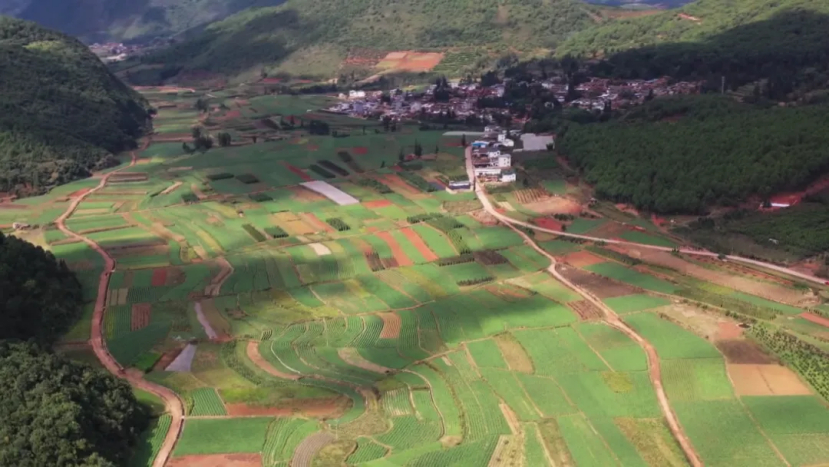 古韵新城 水墨石屏｜龙朋镇：抓项目 拼经济 奋力跑出高质量发展“加速度”