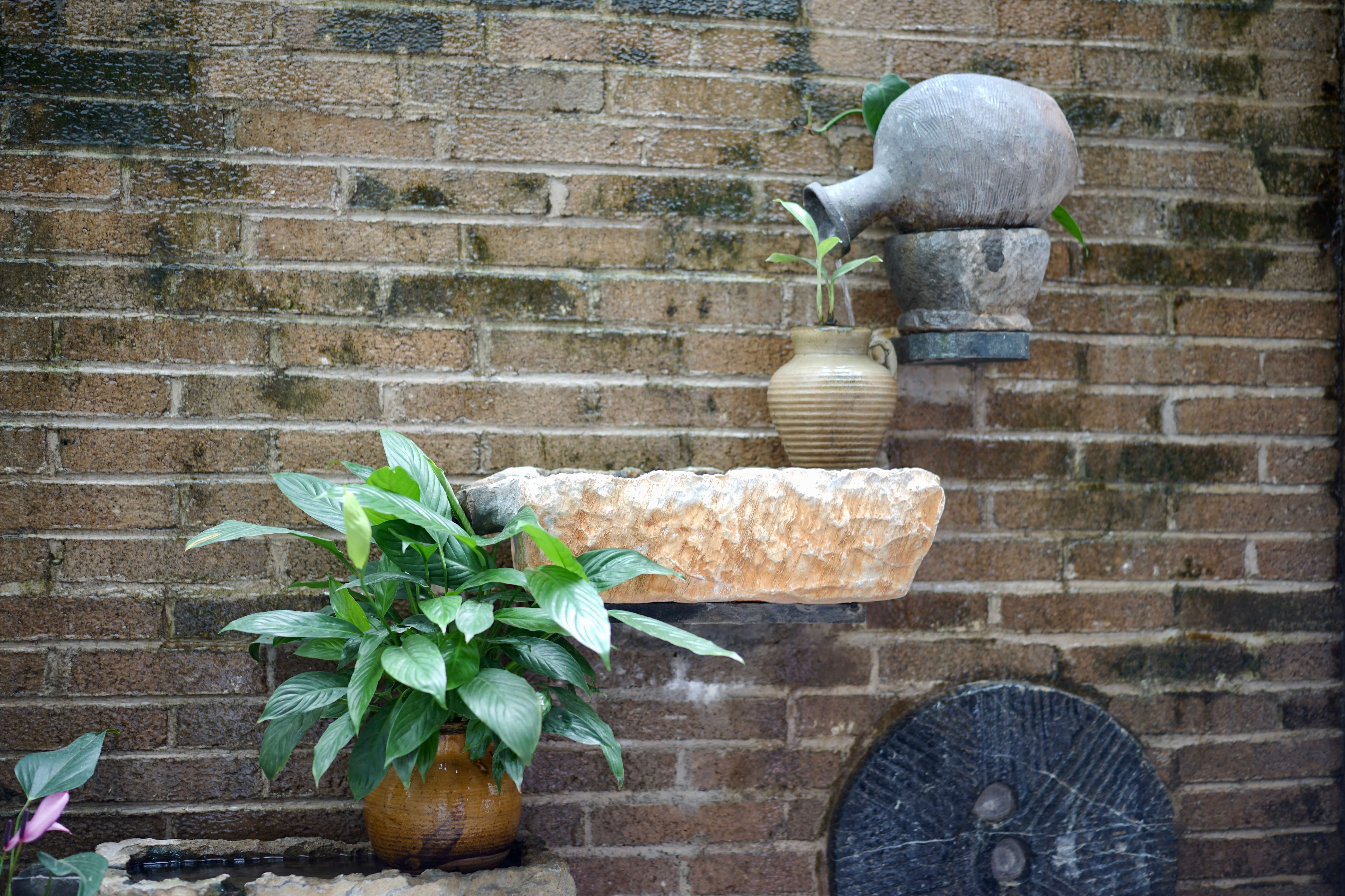 古韵新城 水墨石屏｜龙港村：向美而行，翻开乡村生态宜居新生活