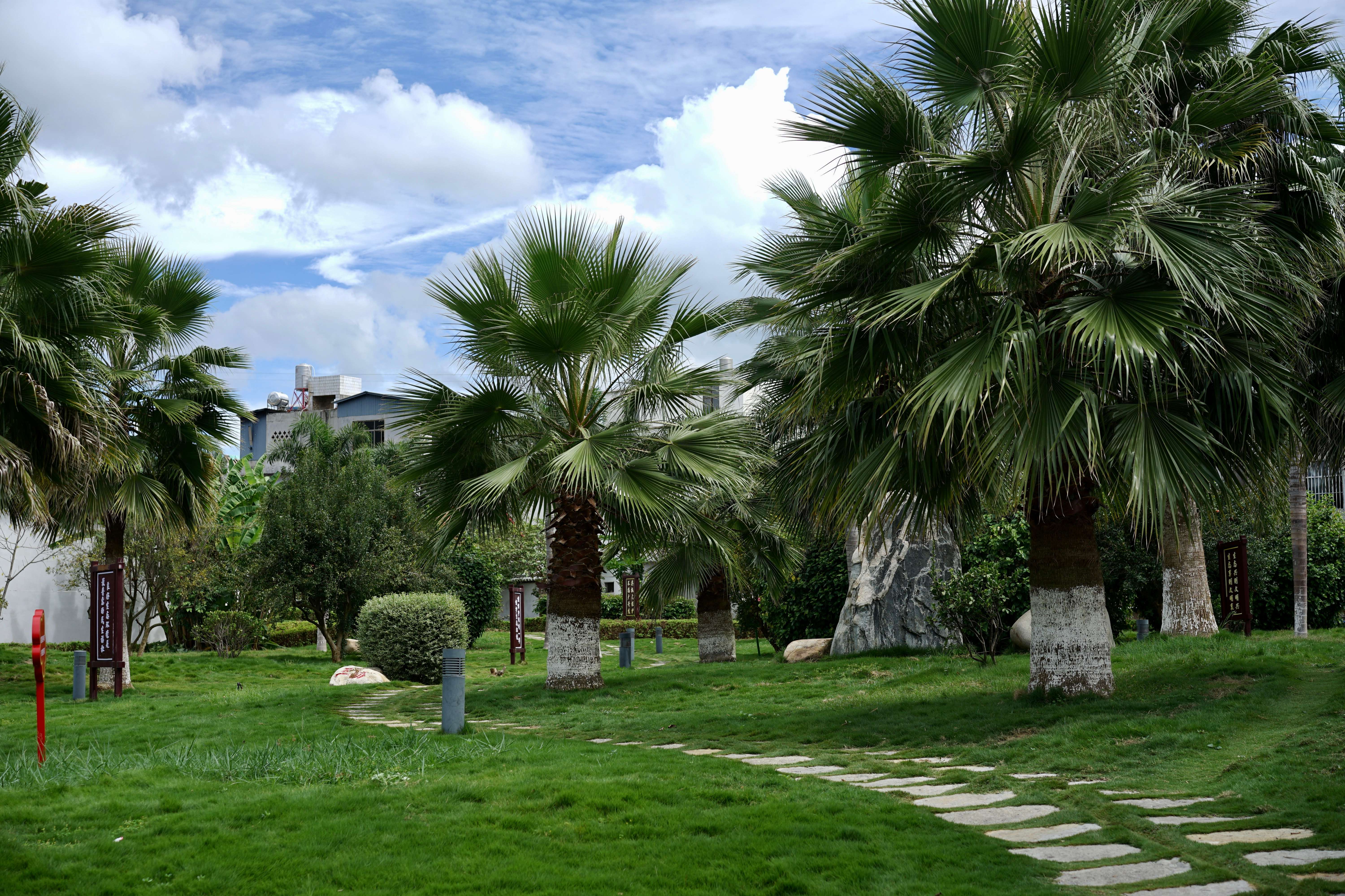 古韵新城 水墨石屏｜龙港村：向美而行，翻开乡村生态宜居新生活