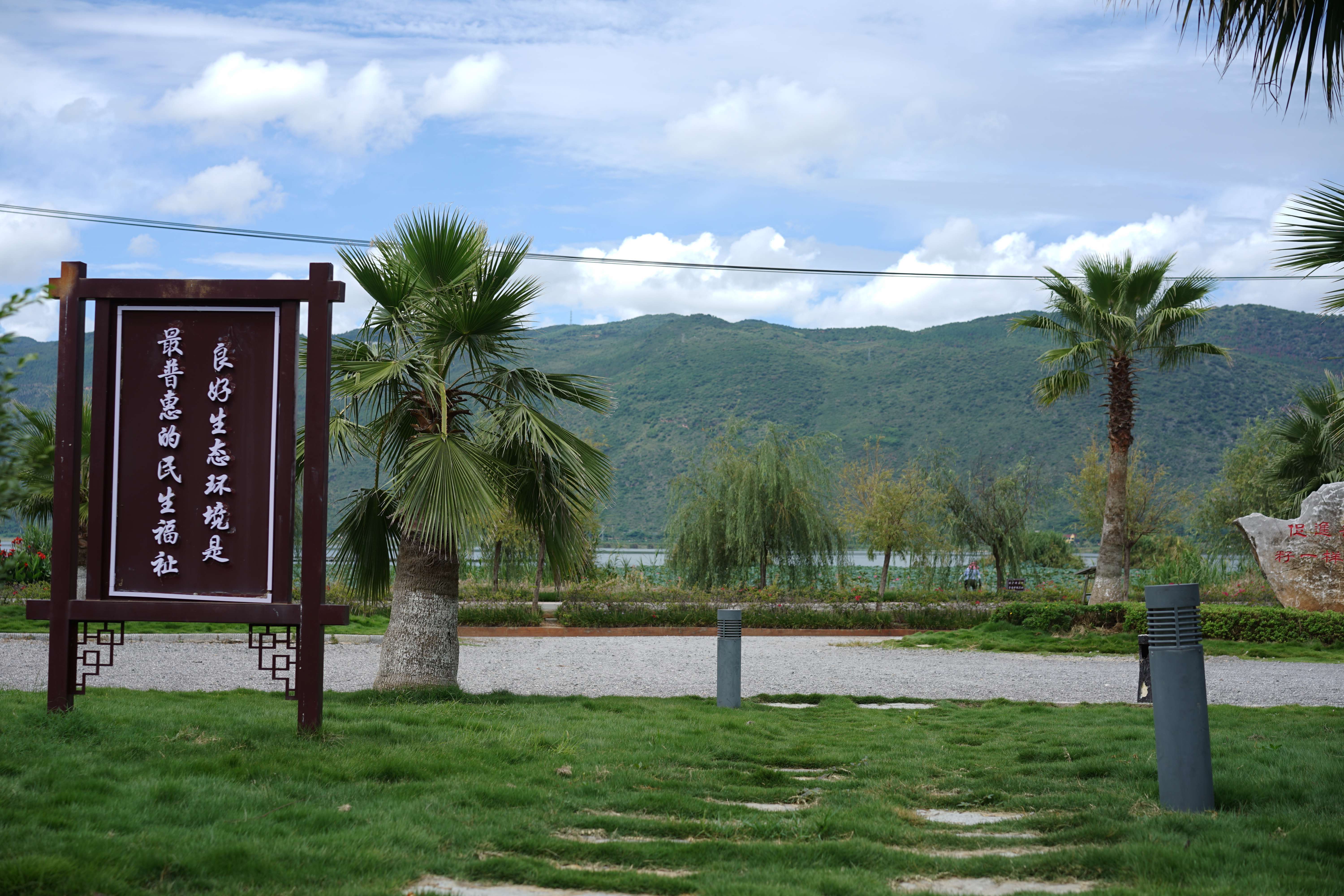 古韵新城 水墨石屏｜龙港村：向美而行，翻开乡村生态宜居新生活