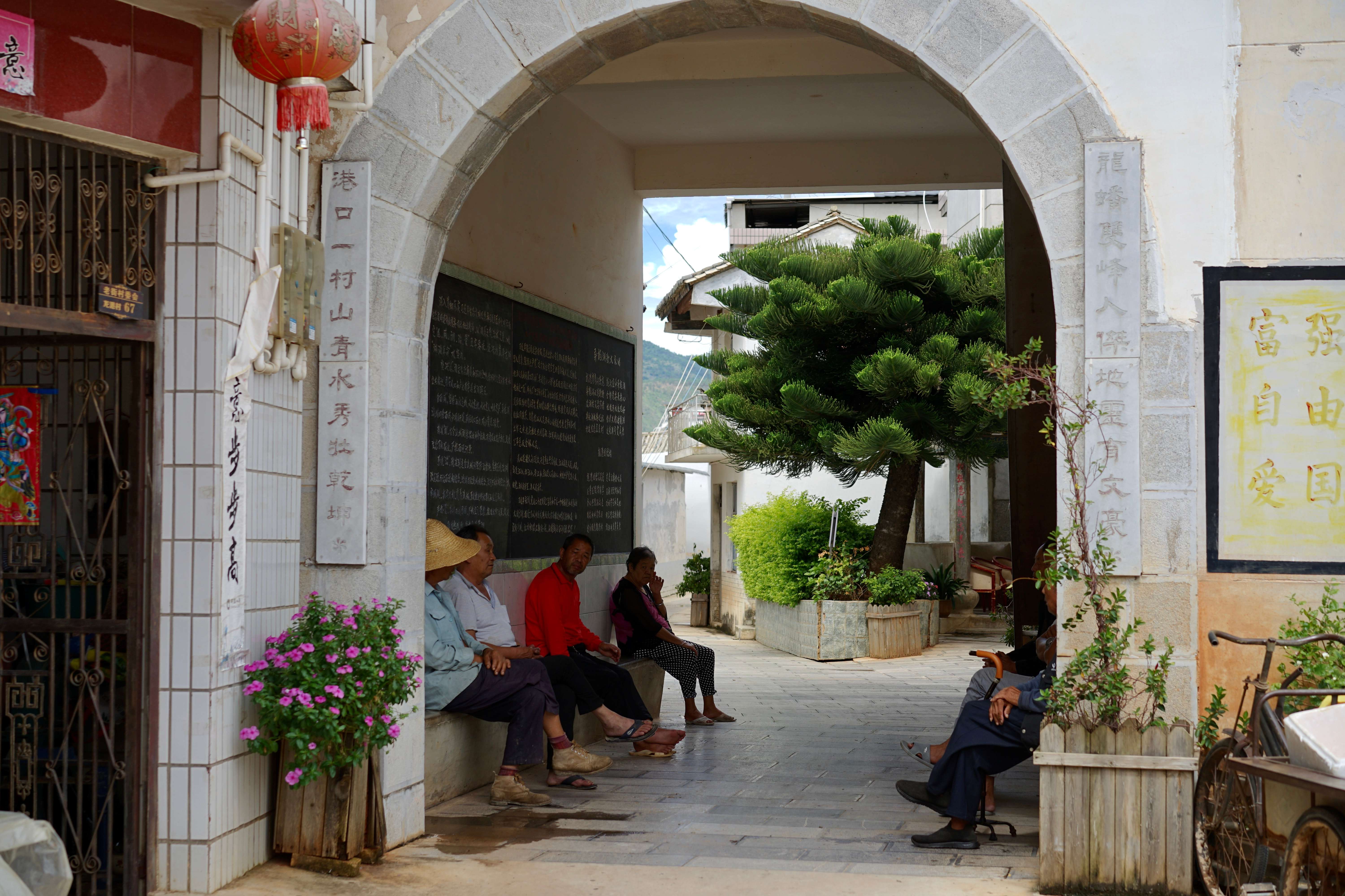 古韵新城 水墨石屏｜龙港村：向美而行，翻开乡村生态宜居新生活
