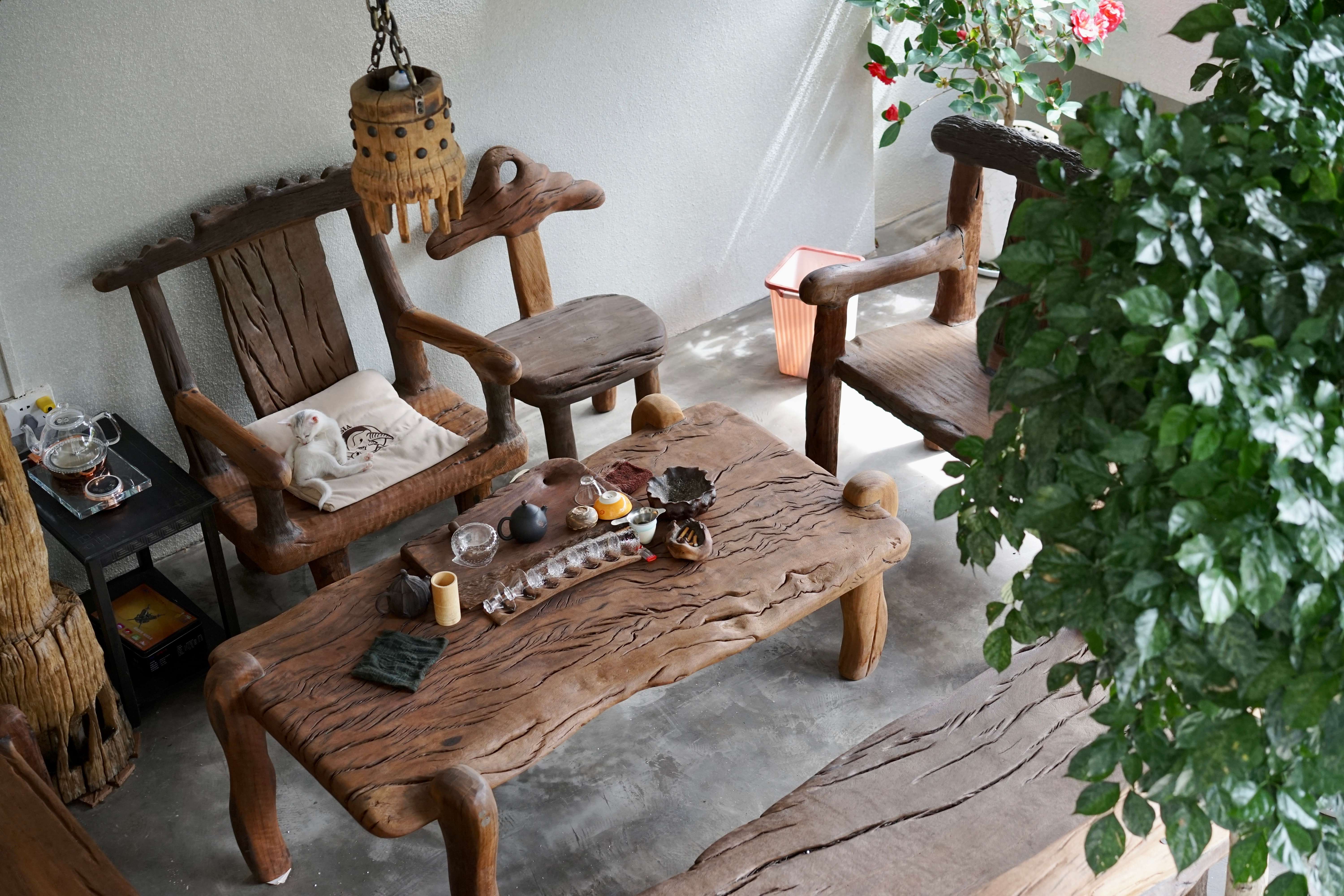 古韵新城 水墨石屏｜龙港村：向美而行，翻开乡村生态宜居新生活