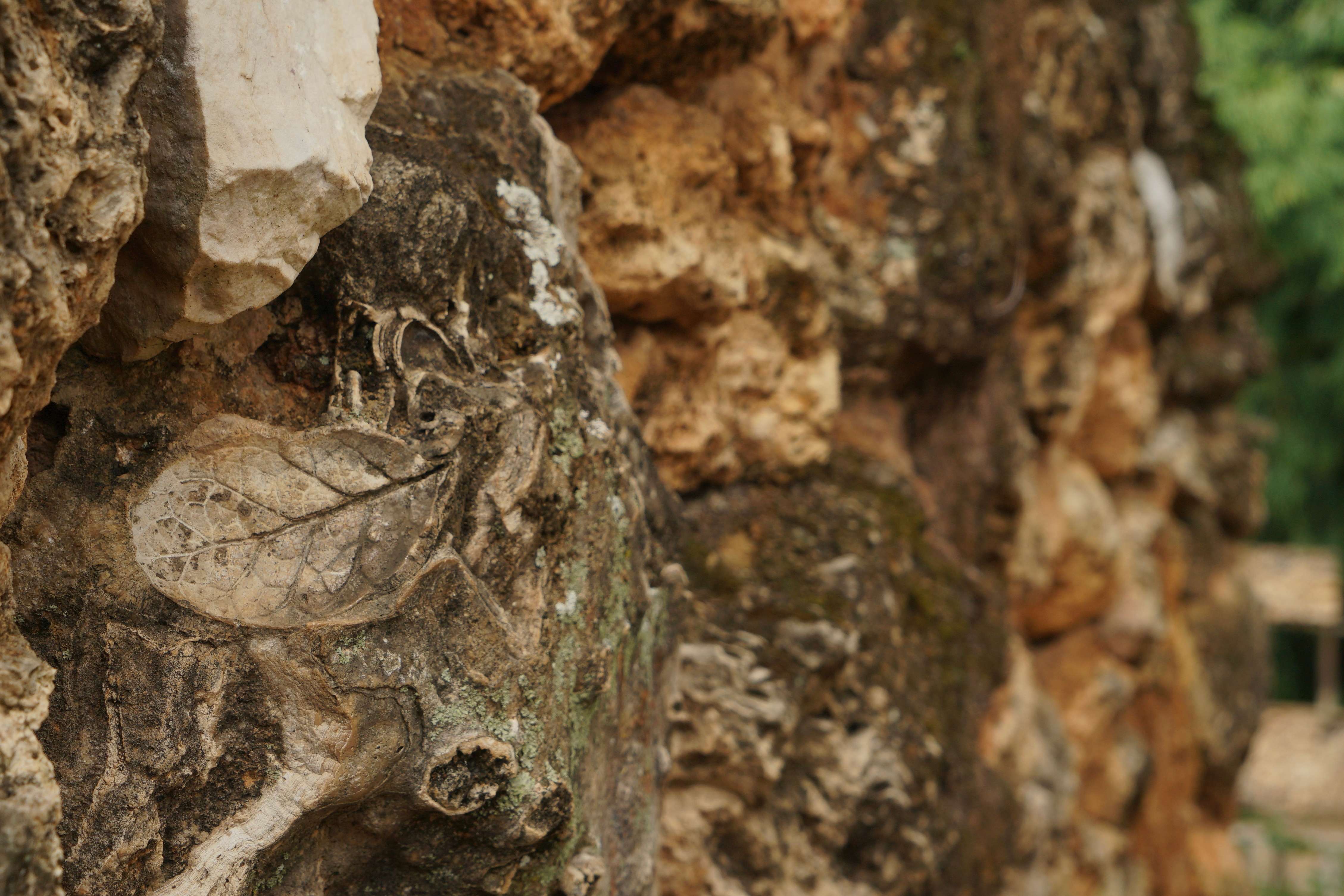 古韵新城 水墨石屏 | 在这个全是化石的古村落，我宛若穿越