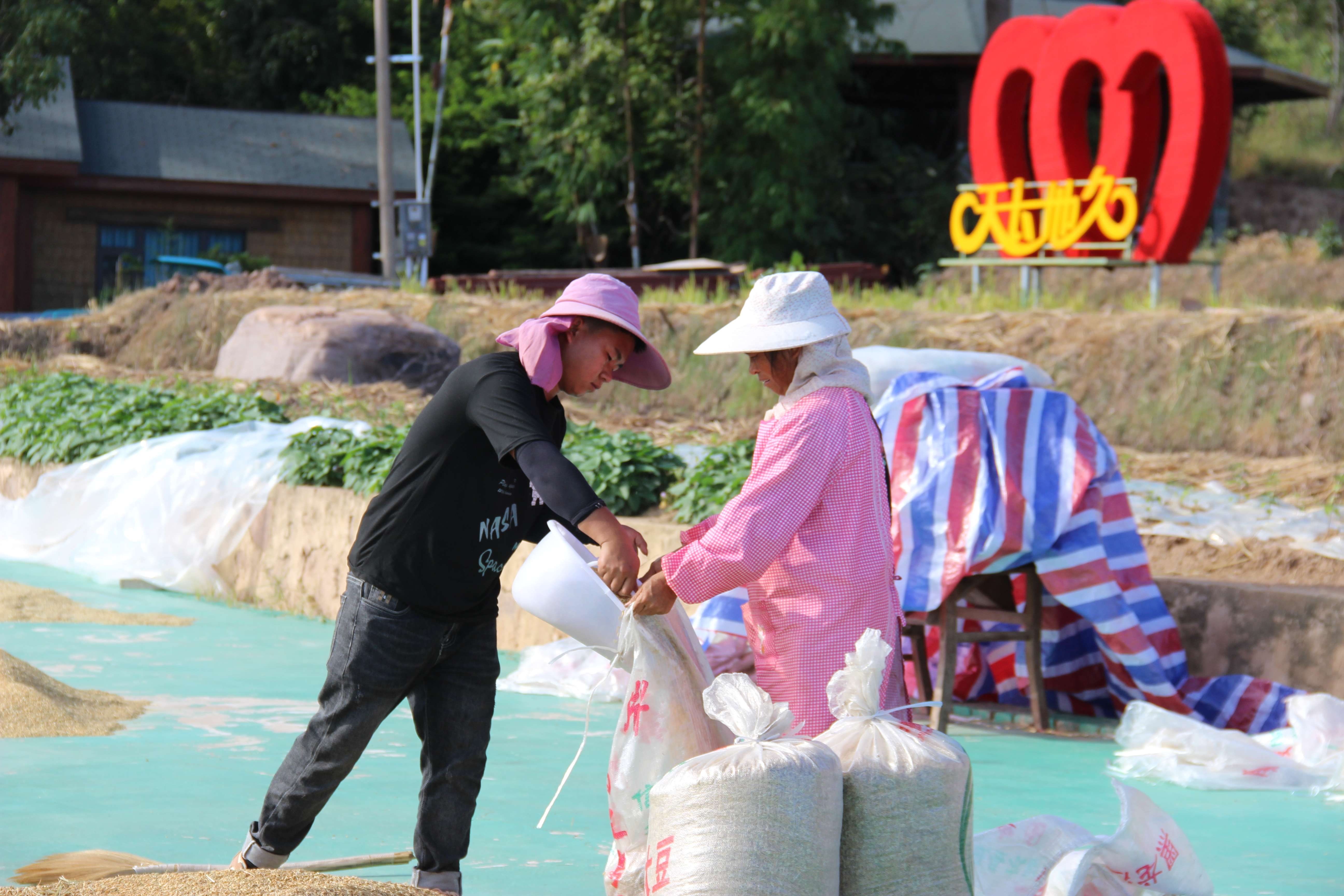 古韵新城 水墨石屏|大桥乡：美丽乡村的“掘金”探索