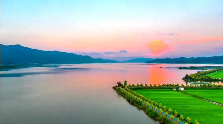 内源防治 护卫“母亲湖”一方蓝天1.png