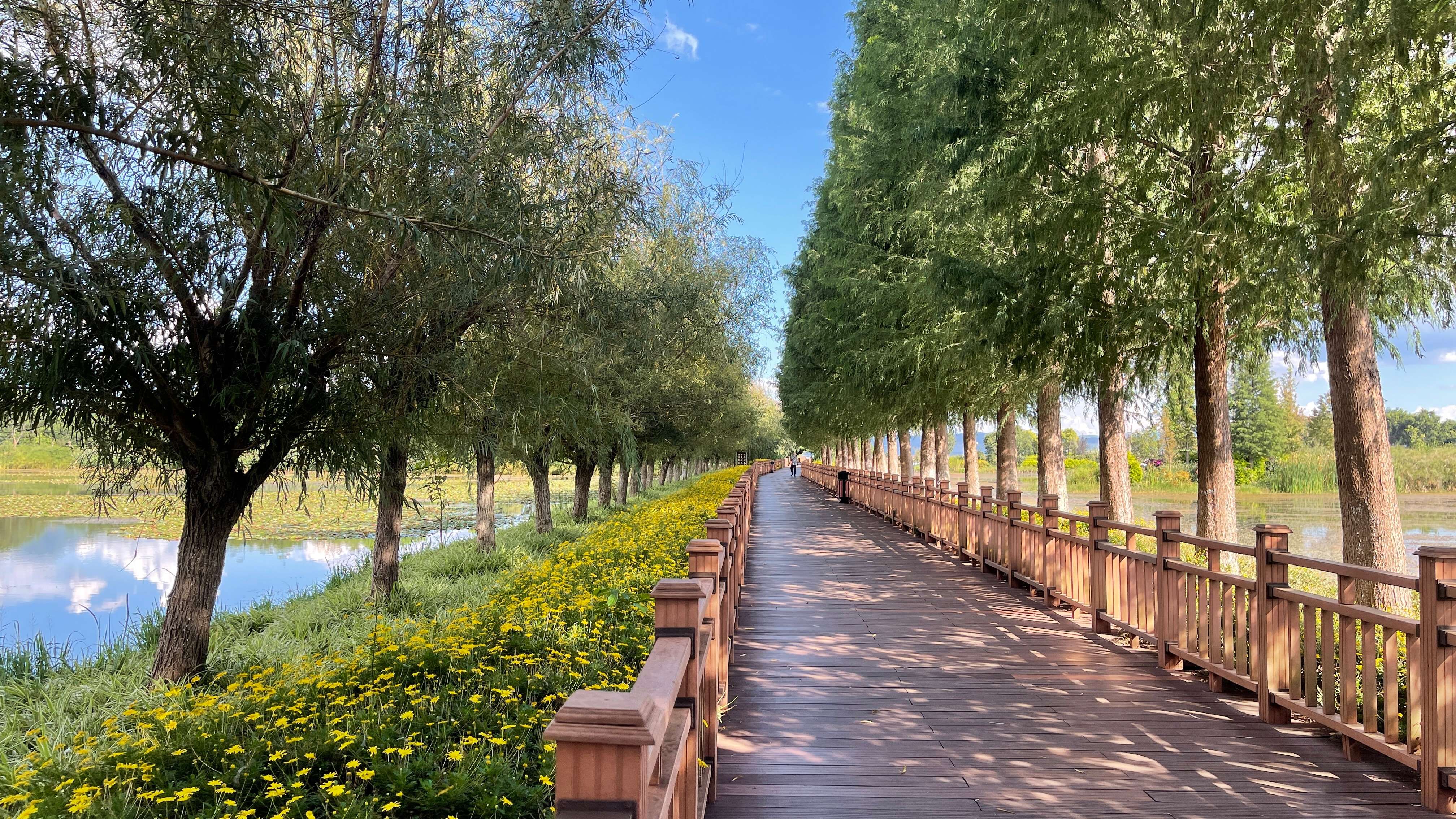 古韵新城 水墨石屏｜用绿扮靓整座城