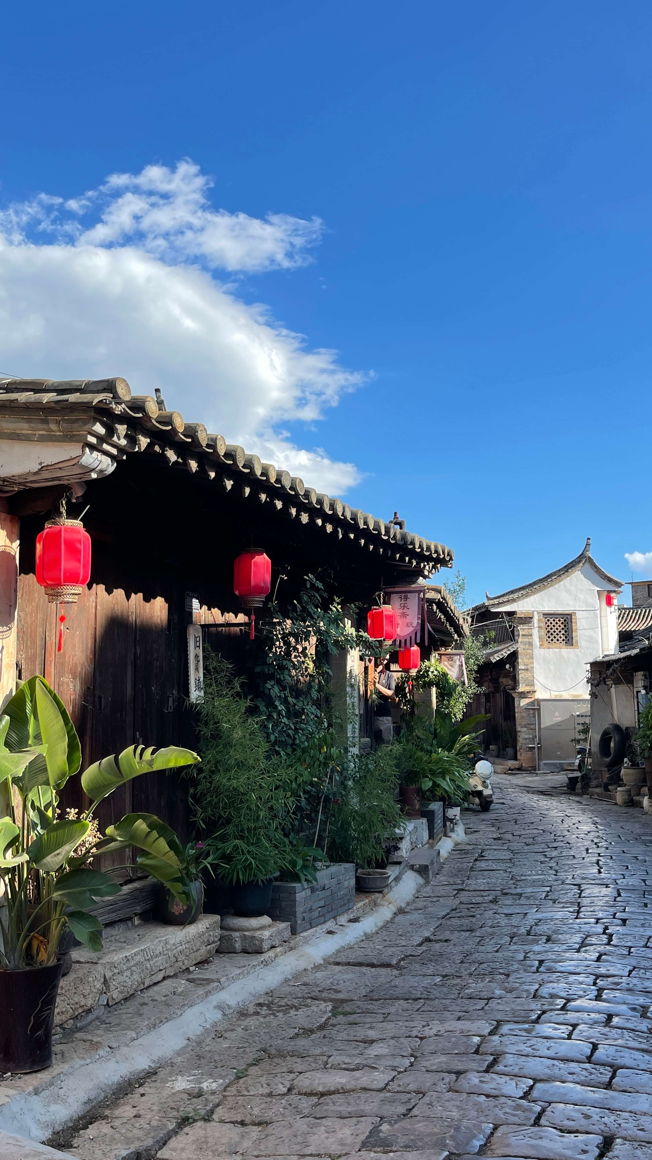 古韵新城 水墨石屏｜用绿扮靓整座城