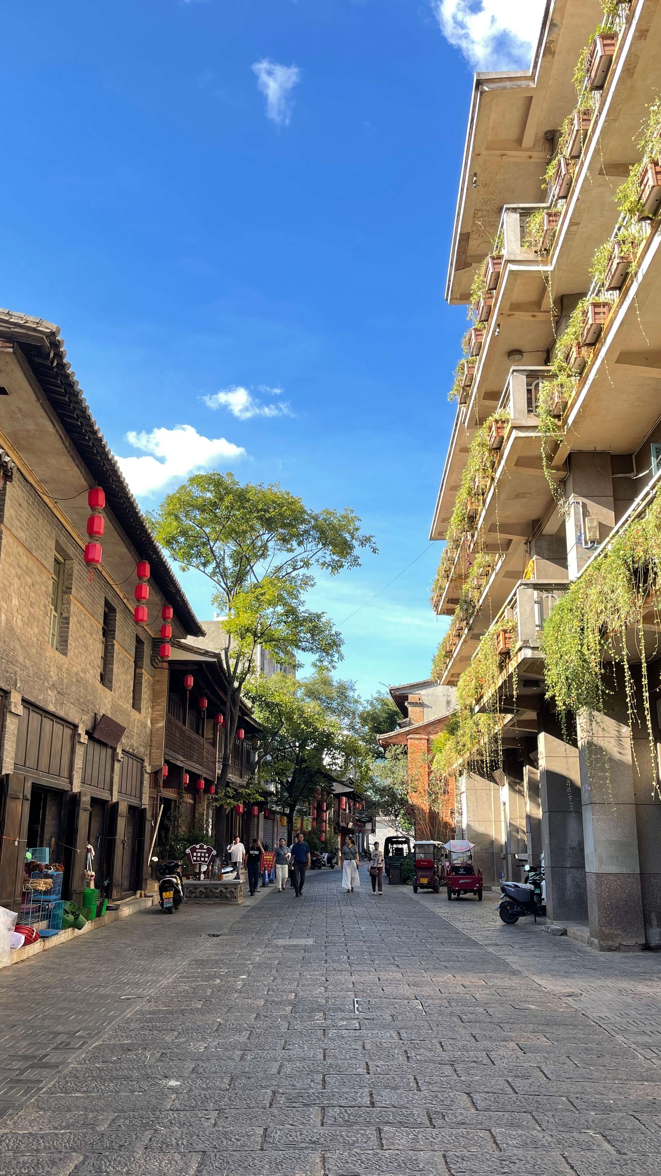 古韵新城 水墨石屏｜用绿扮靓整座城