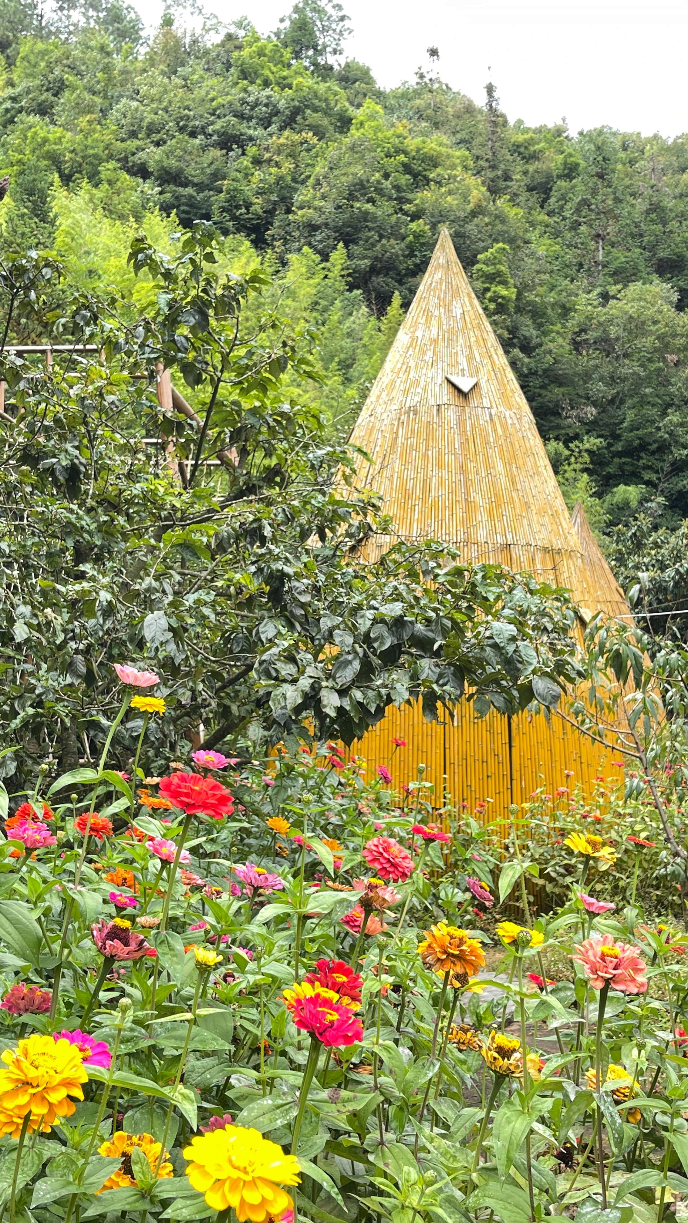 古韵新城 水墨石屏｜用绿扮靓整座城