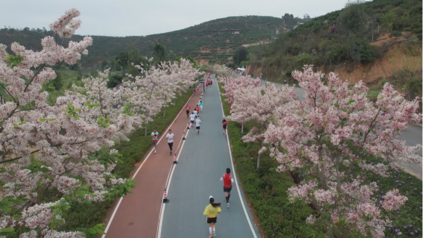 古韵新城 水墨石屏|绿色生态打底 民族文化润色