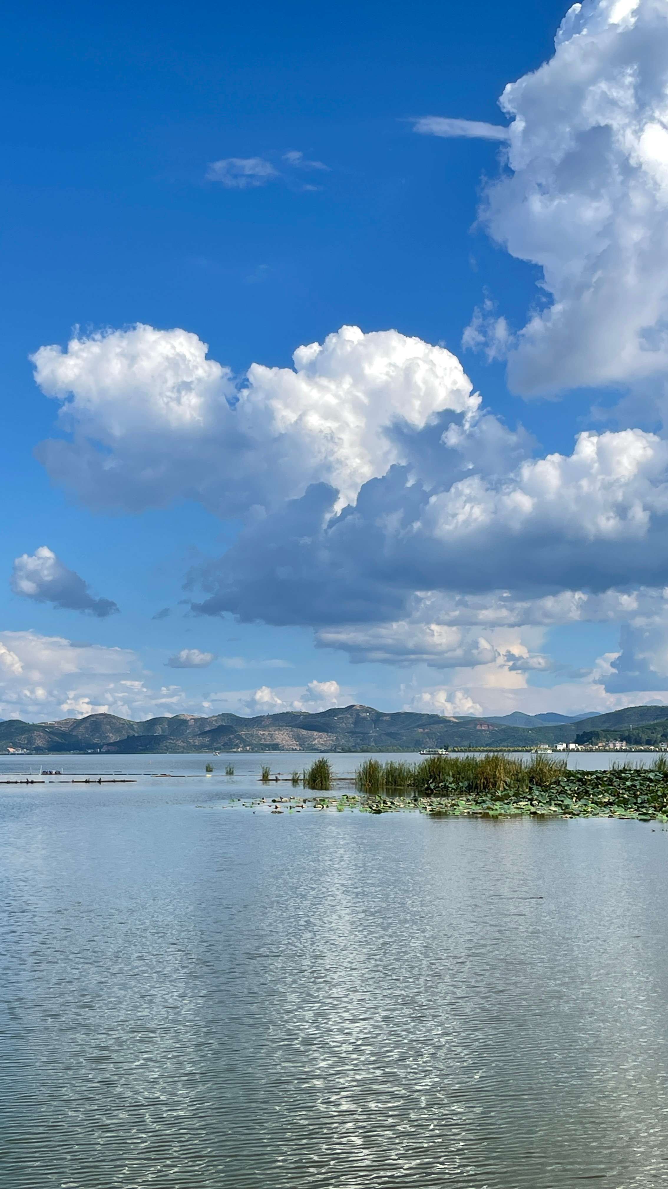 古韵新城 水墨石屏｜石屏林草：交出绿水青山新答卷