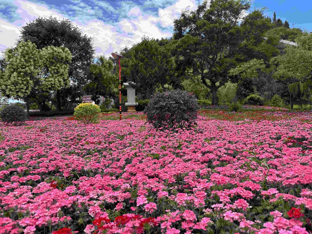 奋进新征程 推动新跨越 | 富源 “花香后所”见山望水闻芬芳