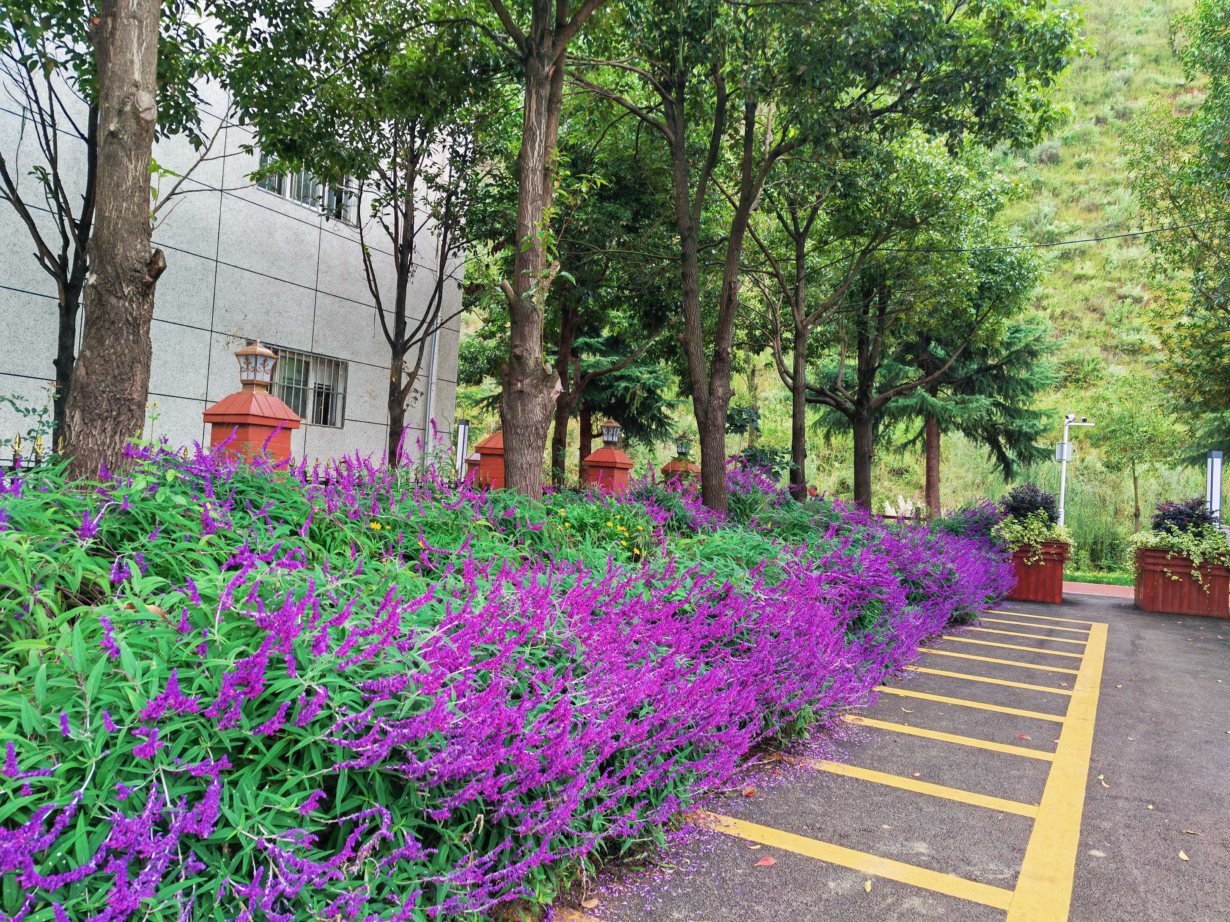 奋进新征程 推动新跨越 | 富源 “花香后所”见山望水闻芬芳