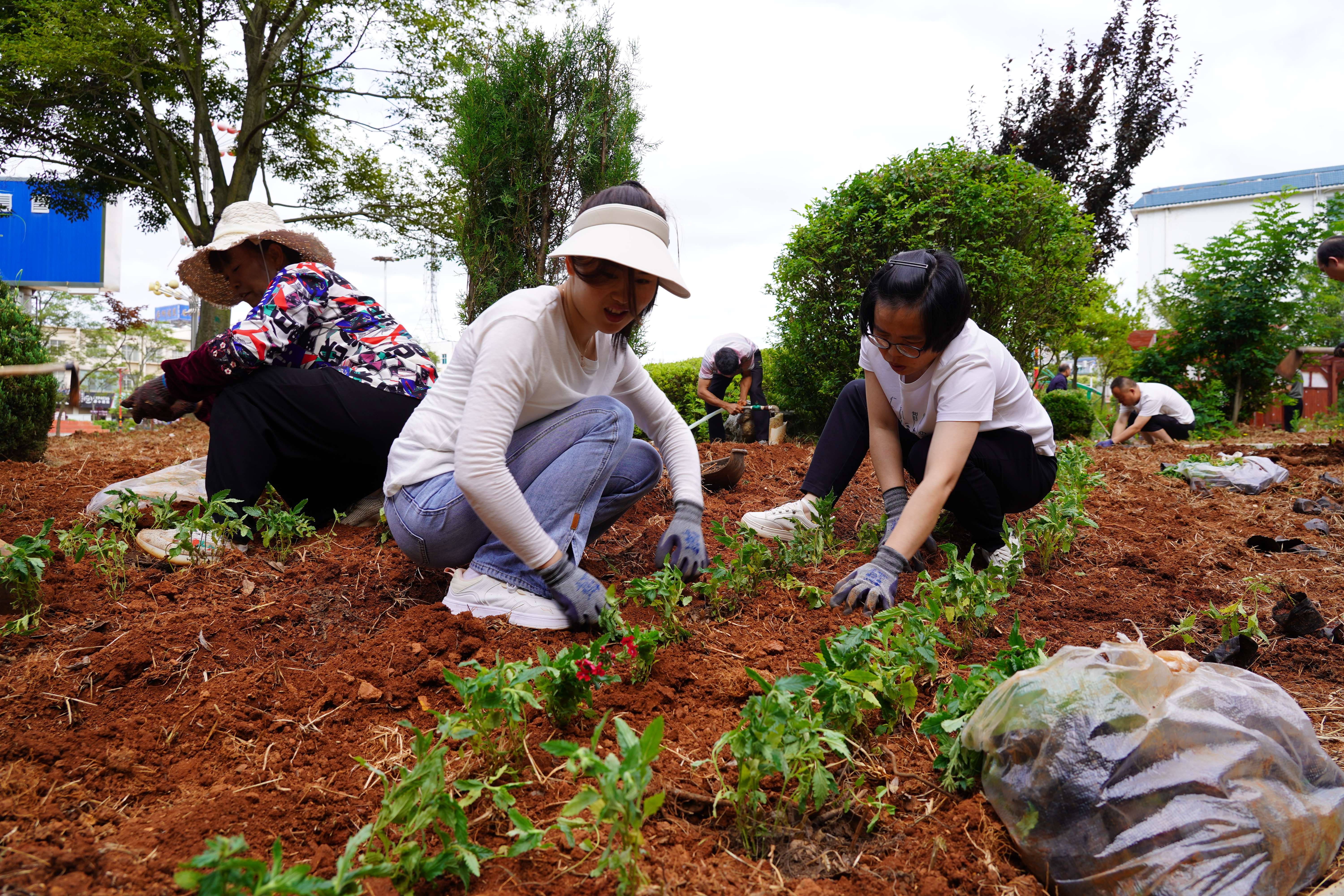 奋进新征程 推动新跨越 | 富源 “花香后所”见山望水闻芬芳