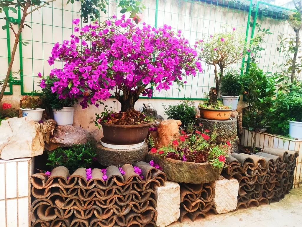 奋进新征程 推动新跨越 | 富源 “花香后所”见山望水闻芬芳