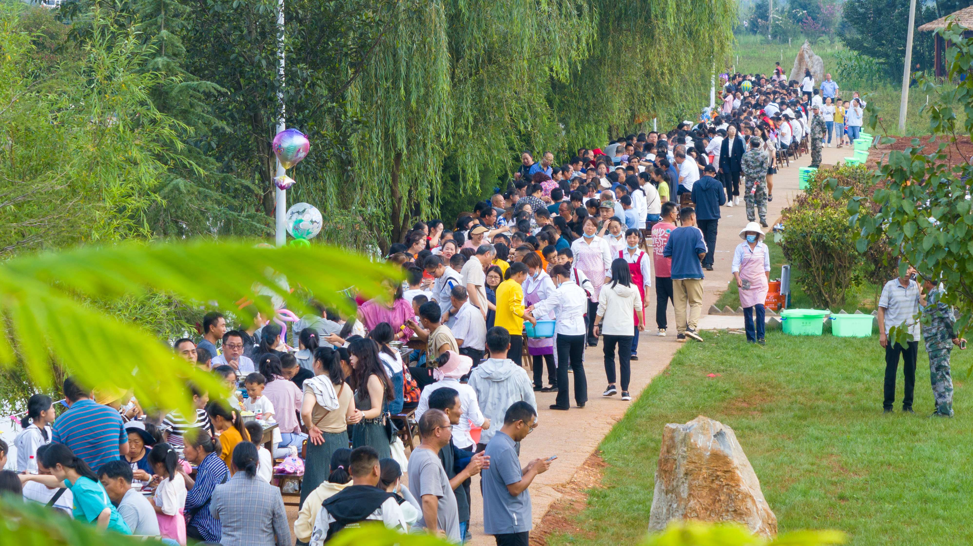 奋进新征程 推动新跨越 | 宣威板桥永安村：三产融合绘就乡村振兴新画卷